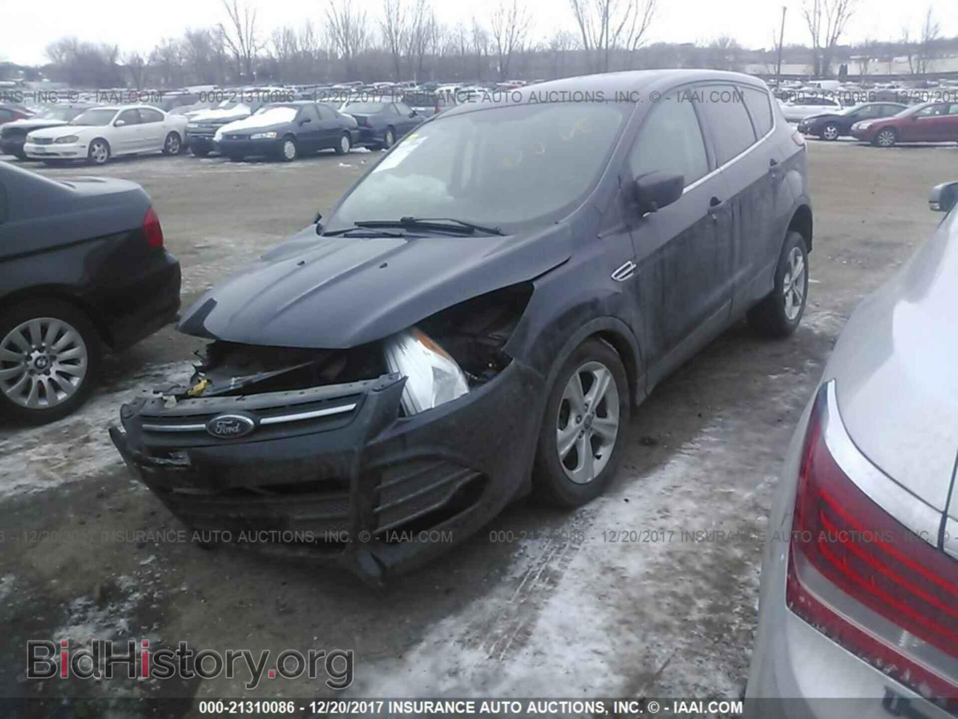 2013 Ford Escape - VIN: 1FMCU0G99DUA21686 - Фото 2