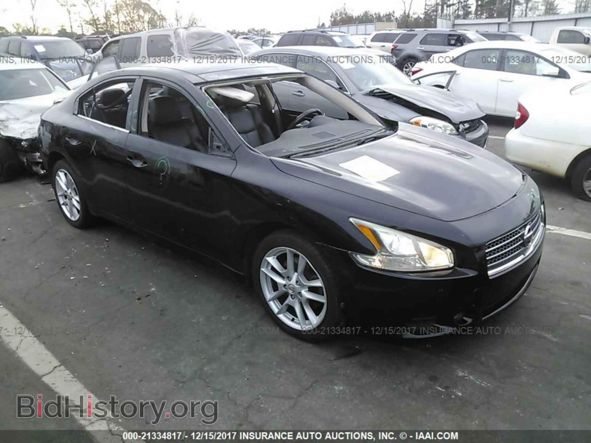 Фотография 1N4AA5AP5BC856444 - Nissan Maxima 2011