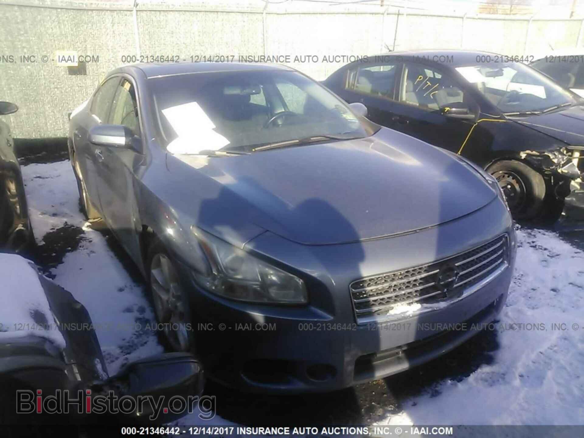 Фотография 1N4AA5AP9BC843714 - Nissan Maxima 2011