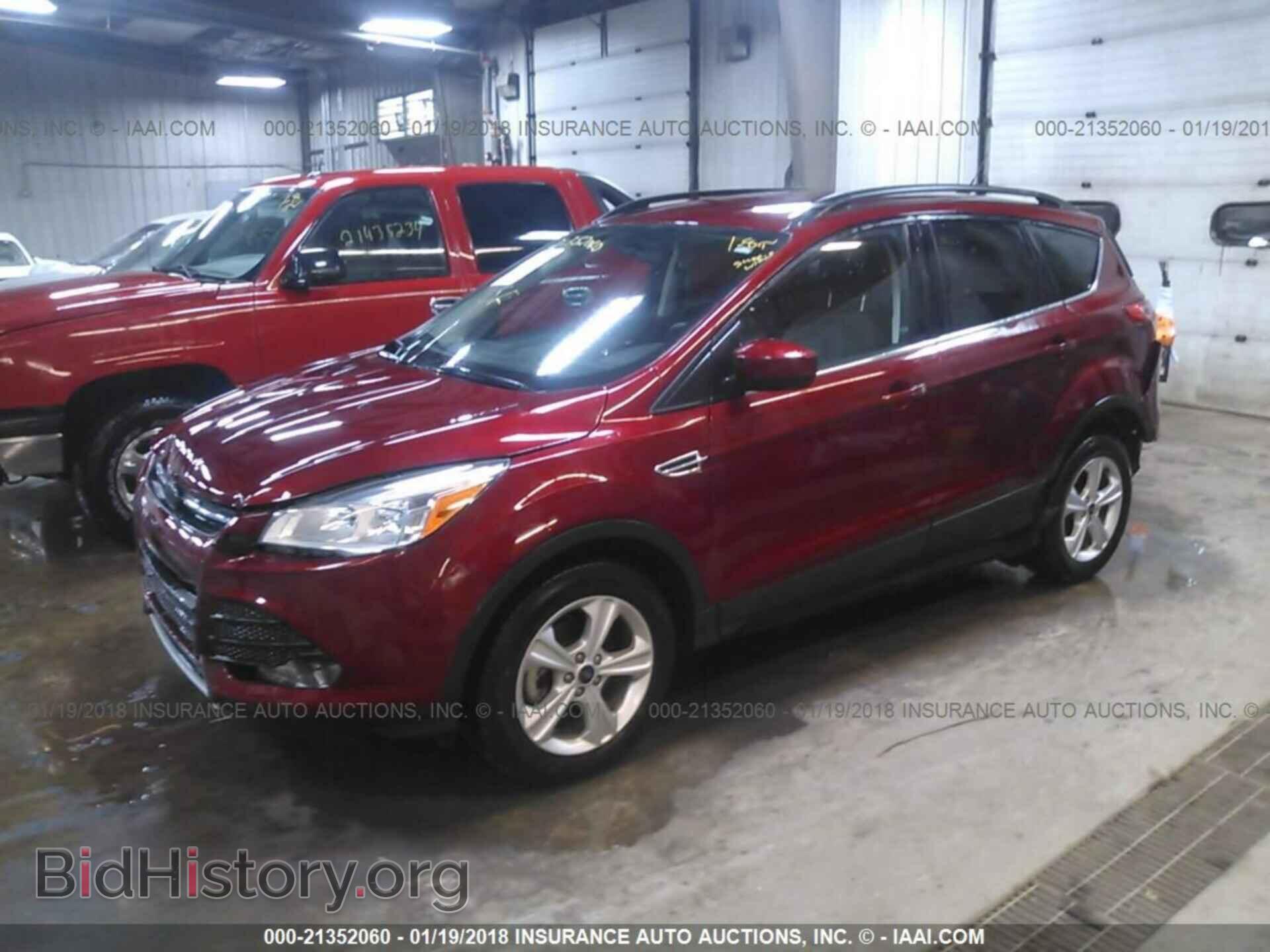 2014 Ford Escape - VIN: 1FMCU0GX4EUA13608 - Фото 2
