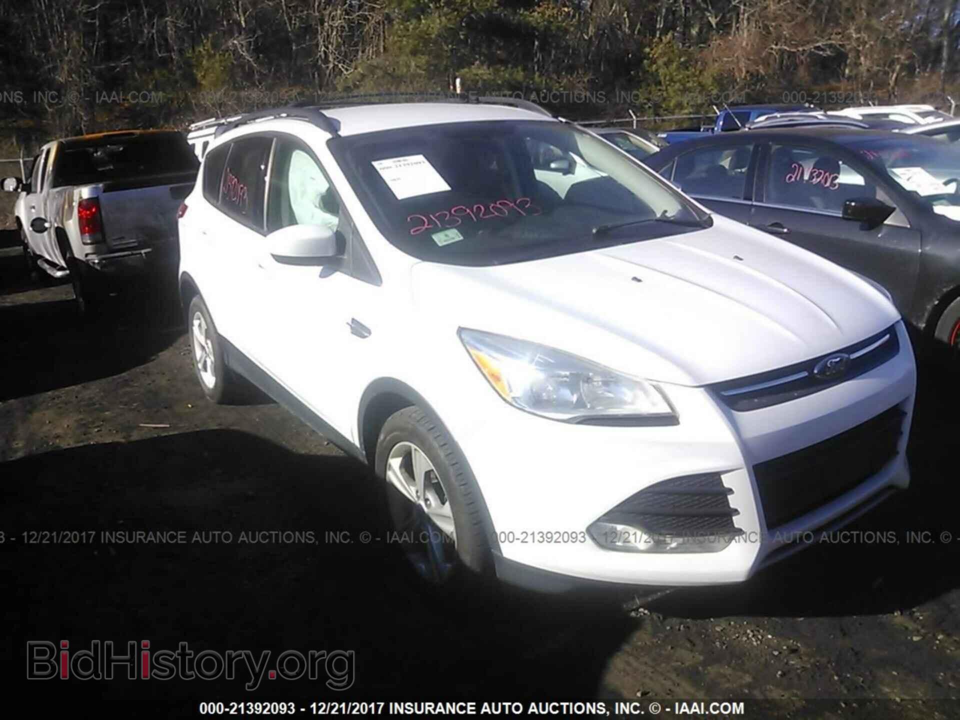 Photo 1FMCU0G92DUA96729 - Ford Escape 2013