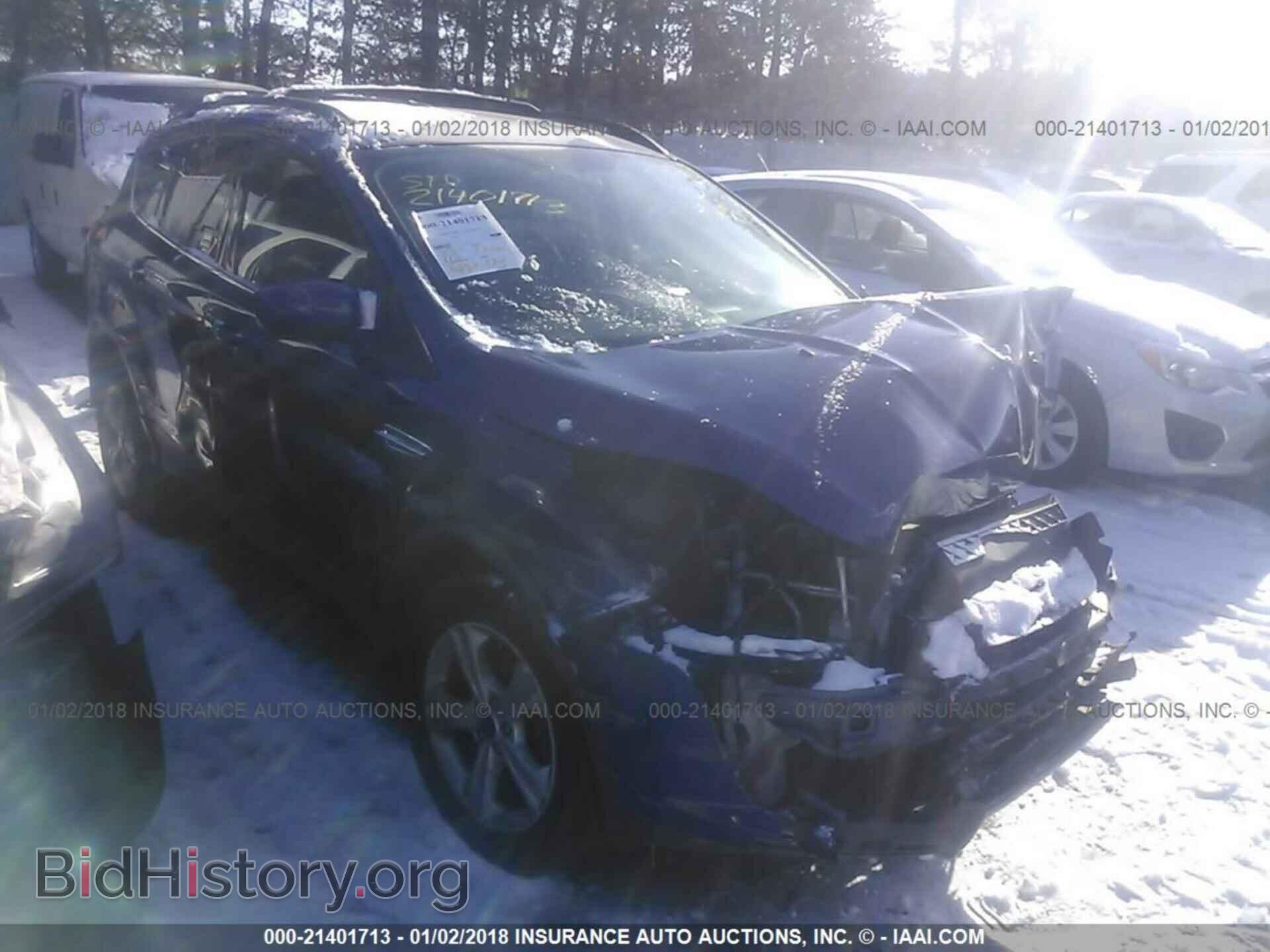 Photo 1FMCU0GX6DUB01901 - Ford Escape 2013