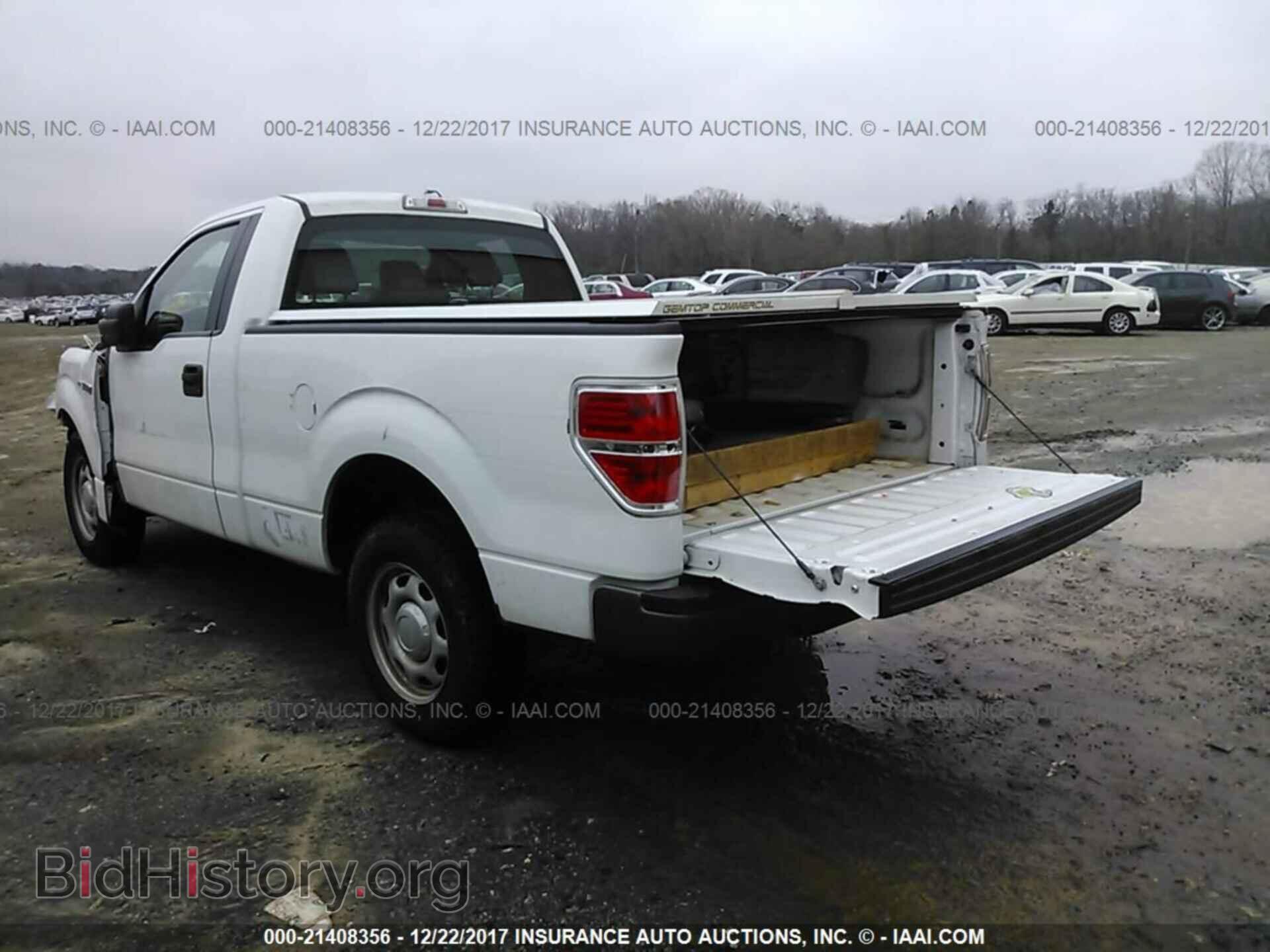 2014 Ford F150 - VIN: 1FTMF1CM8EKE73645 - Фото 3