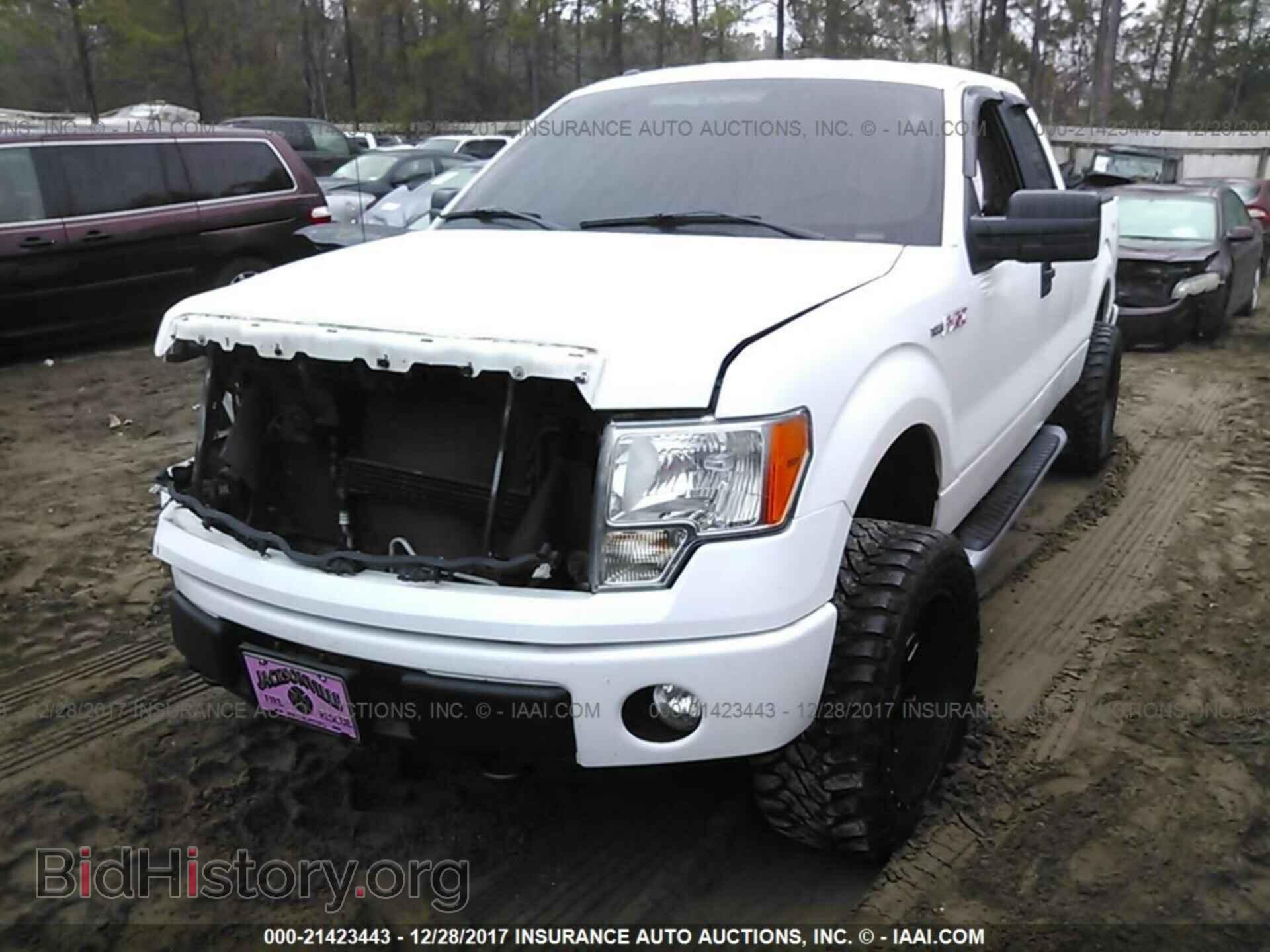 2013 Ford F150 - VIN: 1FTFX1EF8DKD77856 - Фото 2