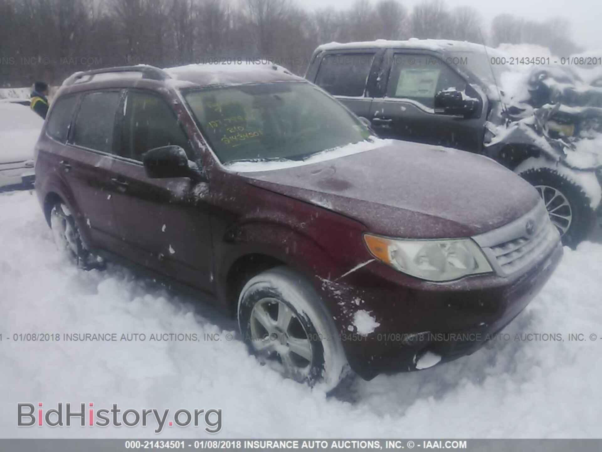 Фотография JF2SHABC0BH705837 - Subaru Forester 2011