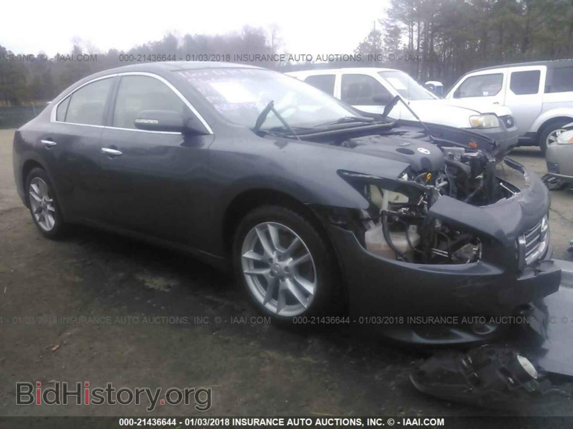 Фотография 1N4AA5AP3BC817335 - Nissan Maxima 2011
