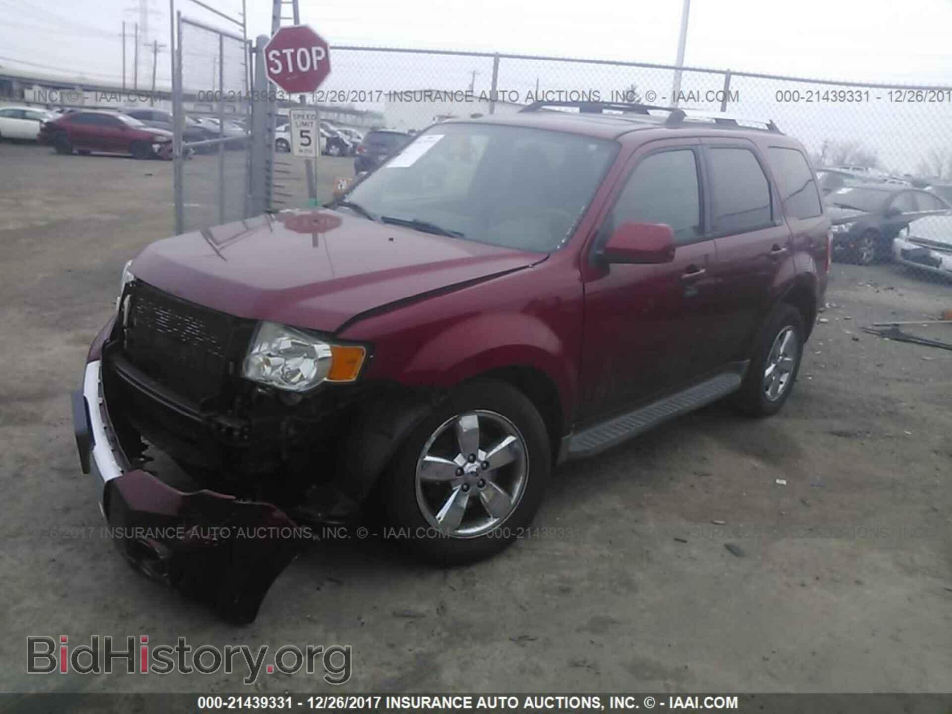2011 Ford Escape - VIN: 1FMCU9EG6BKB28774 - Photo 2