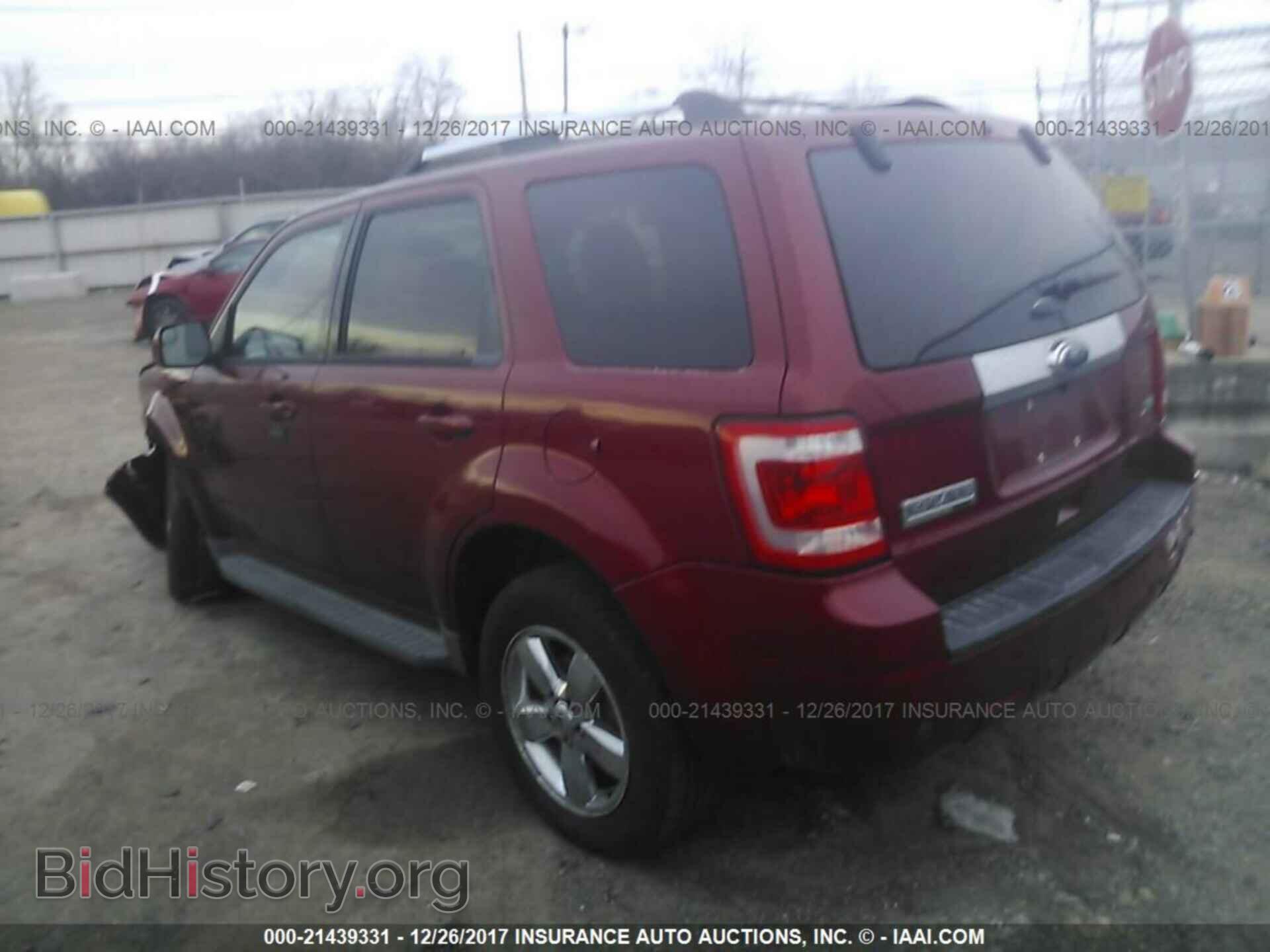 2011 Ford Escape - VIN: 1FMCU9EG6BKB28774 - Photo 3