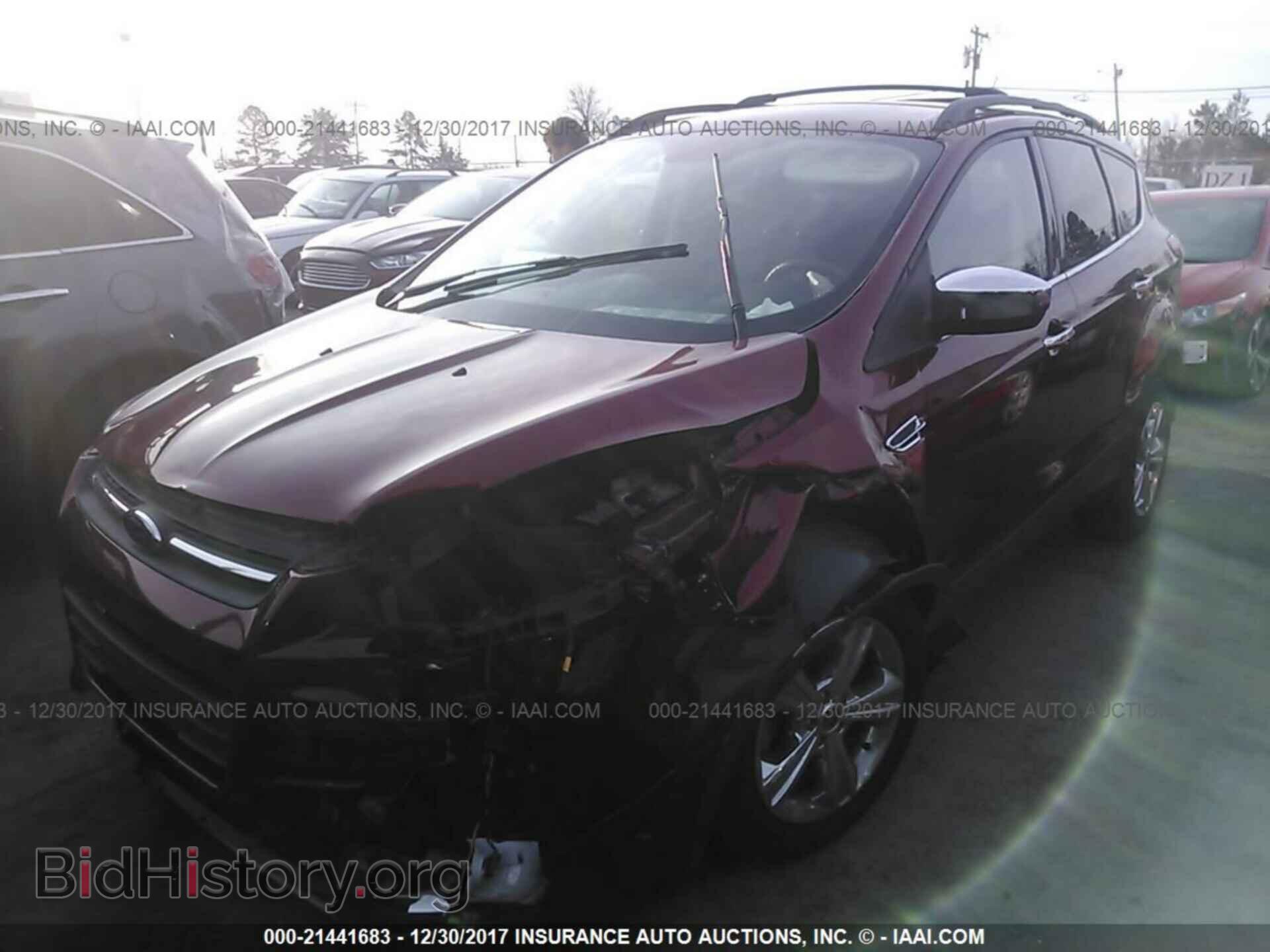 2013 Ford Escape - VIN: 1FMCU0GX9DUB60165 - Фото 2