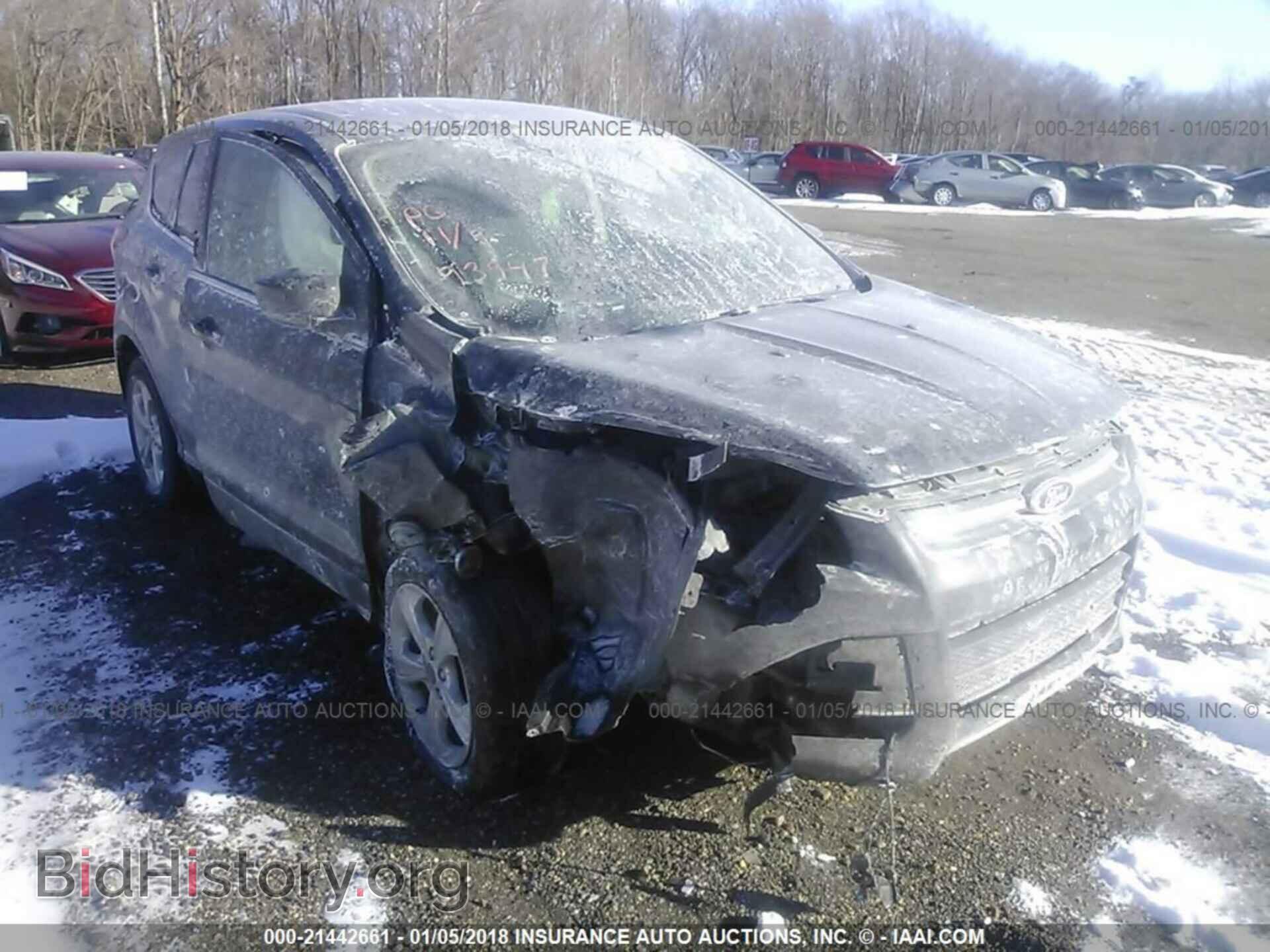 Photo 1FMCU0GX8DUD22691 - Ford Escape 2013
