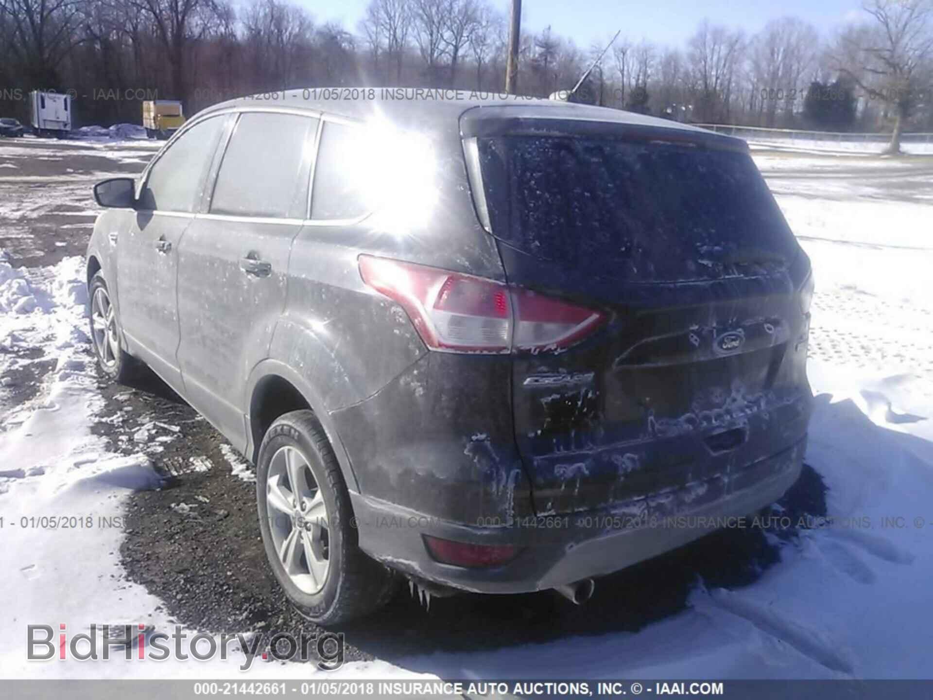 2013 Ford Escape - VIN: 1FMCU0GX8DUD22691 - Фото 3