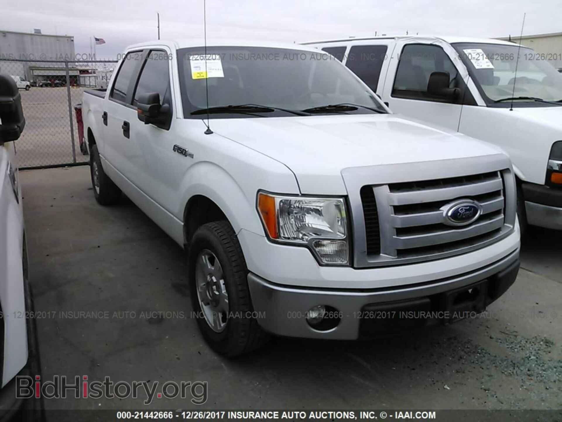 Фотография 1FTFW1CF3BFC14561 - Ford F150 2011