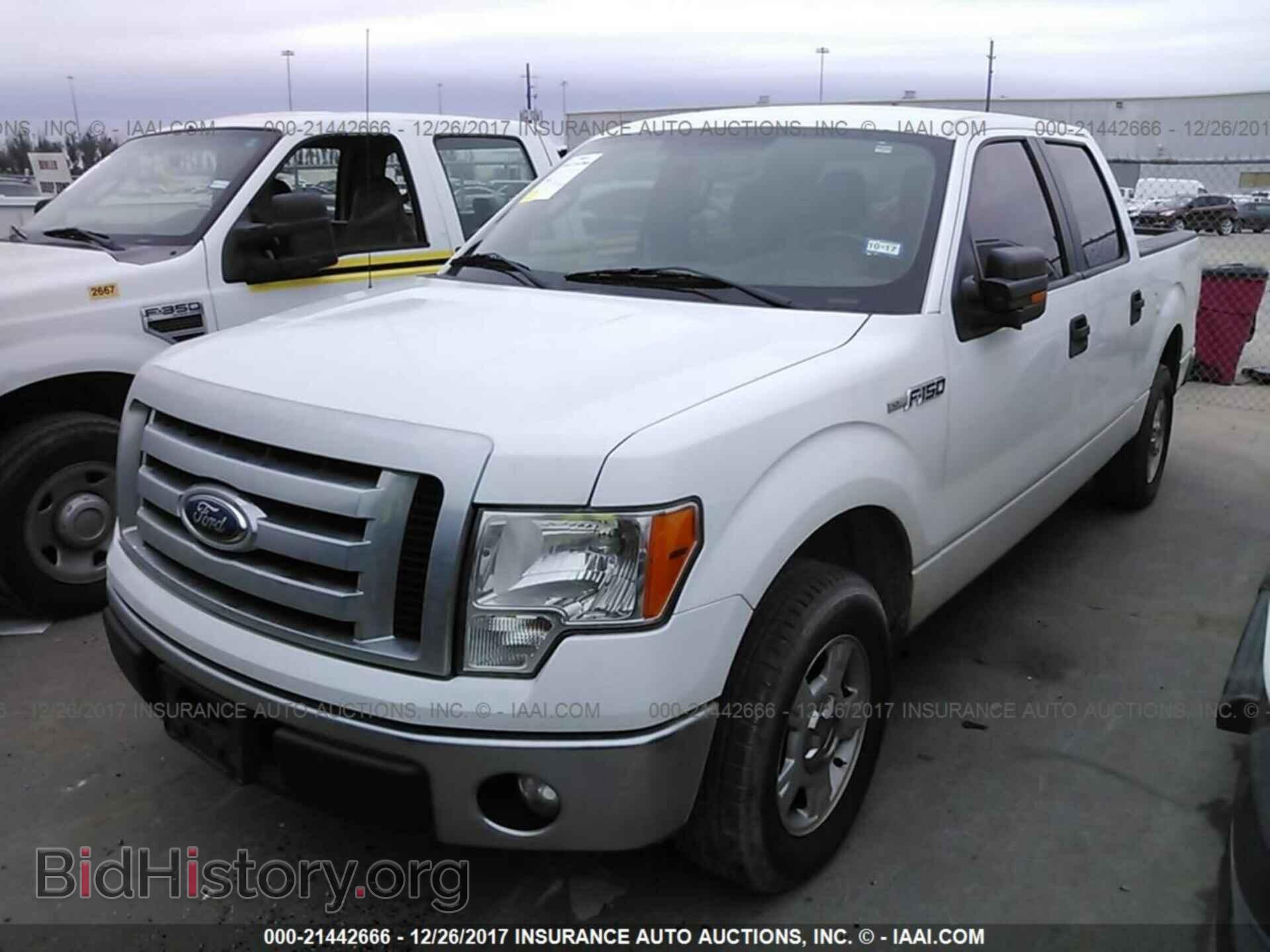 2011 Ford F150 - VIN: 1FTFW1CF3BFC14561 - Фото 2