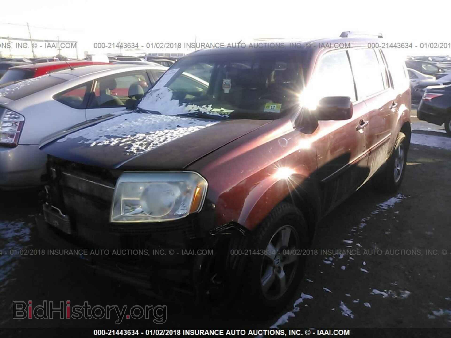 2011 Honda Pilot - VIN: 5FNYF4H64BB024906 - Фото 2