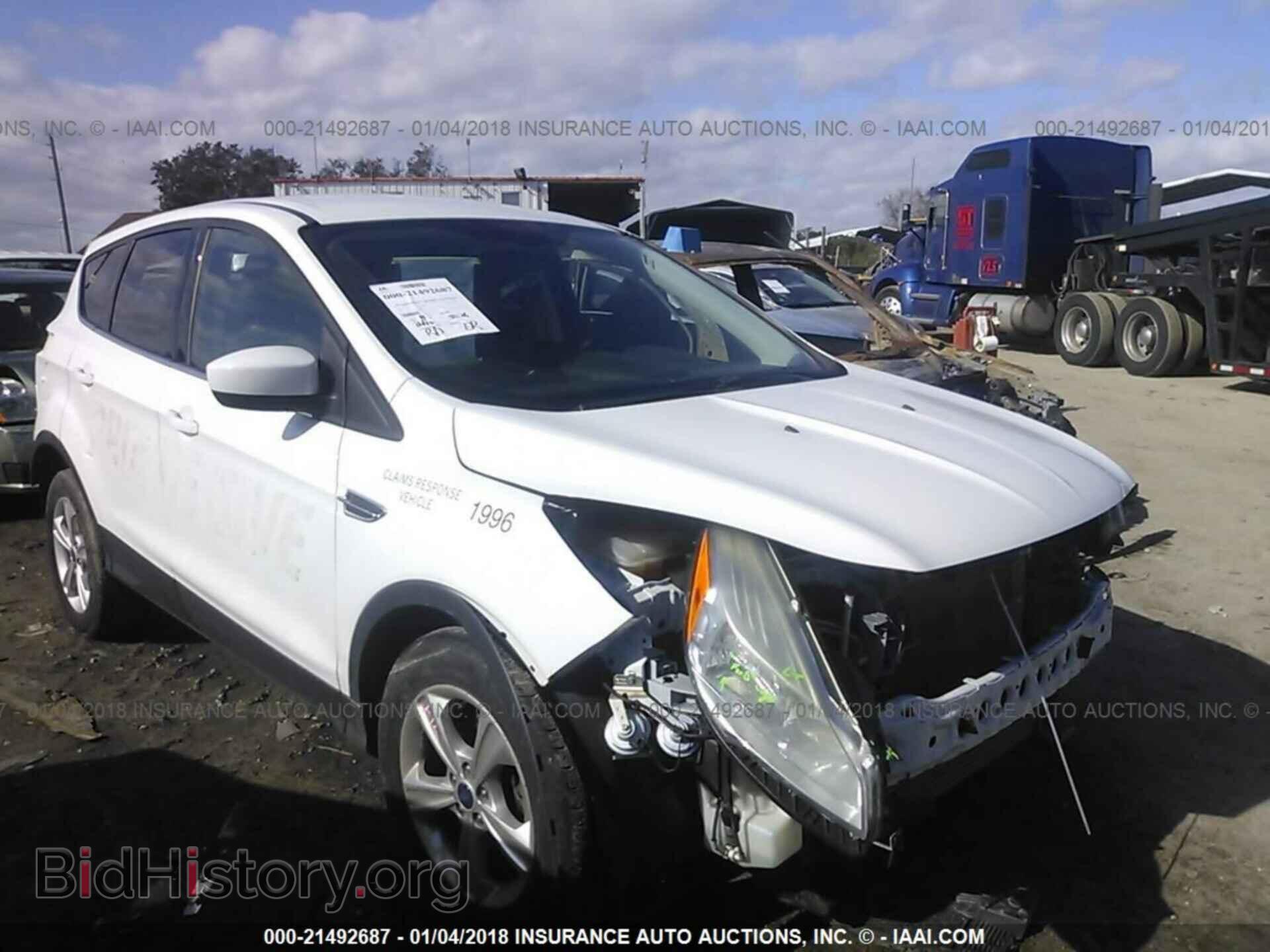 Photo 1FMCU0GX8DUD11996 - Ford Escape 2013