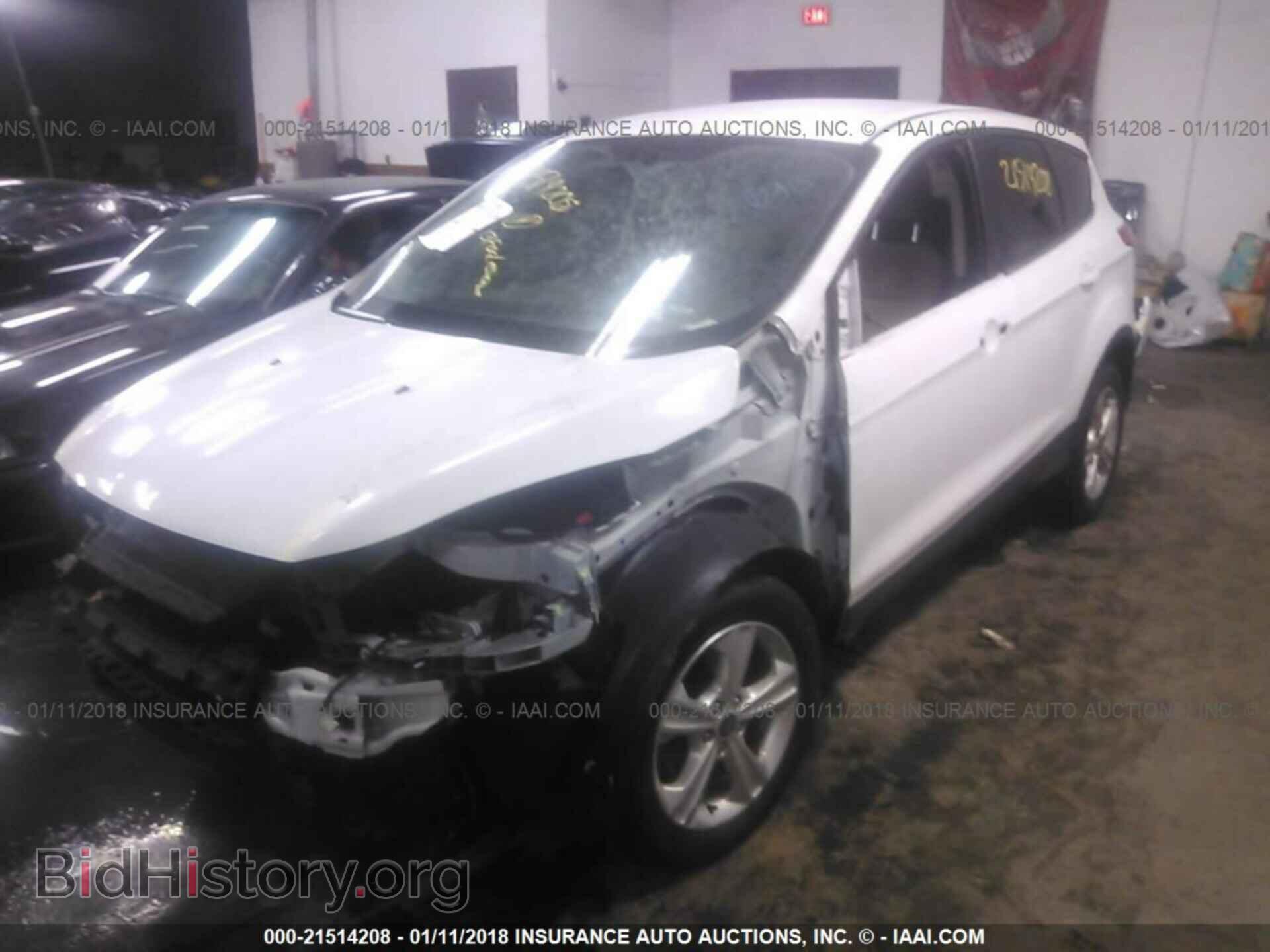 2013 Ford Escape - VIN: 1FMCU0GX5DUD19263 - Photo 2