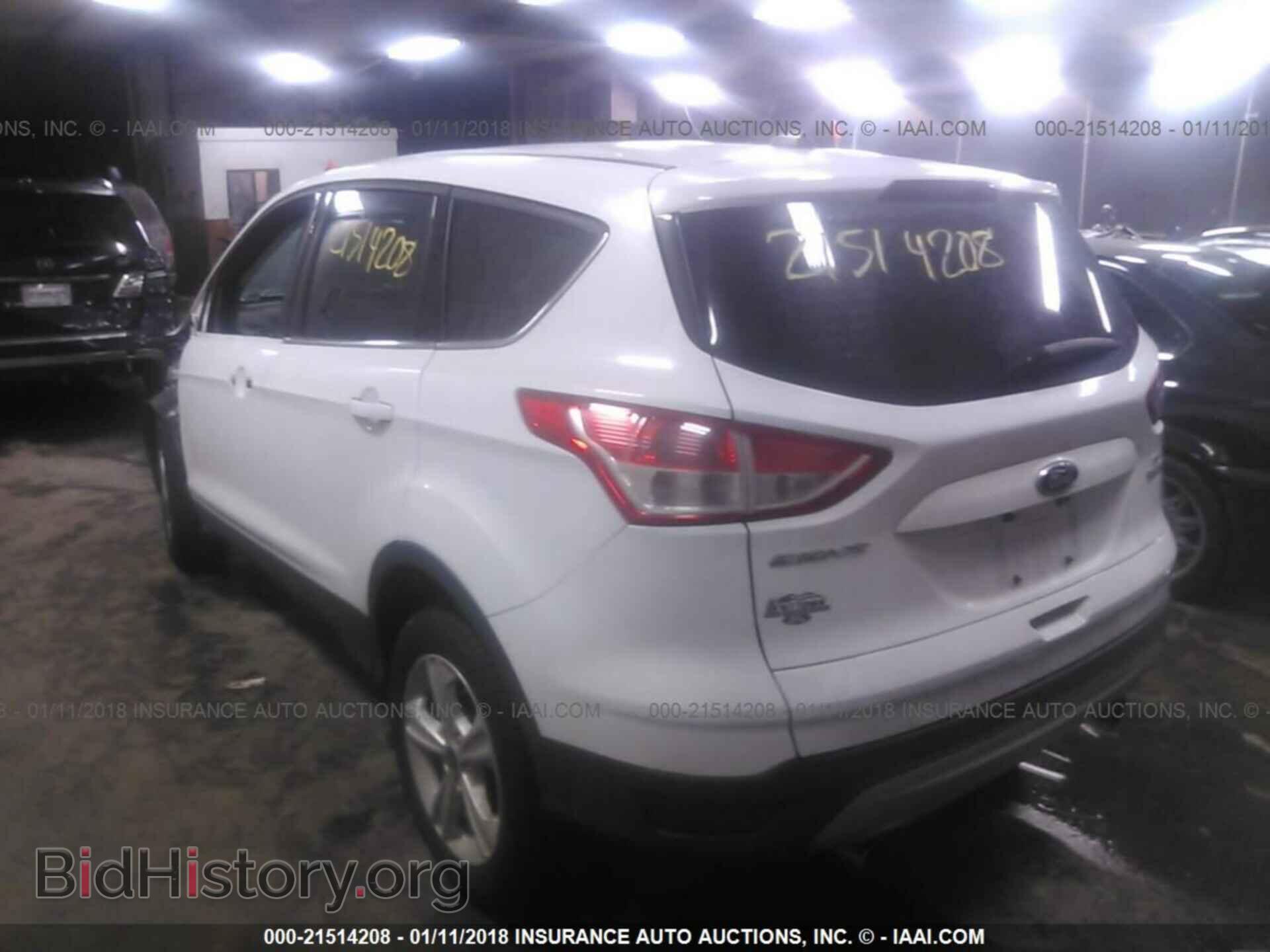 2013 Ford Escape - VIN: 1FMCU0GX5DUD19263 - Photo 3