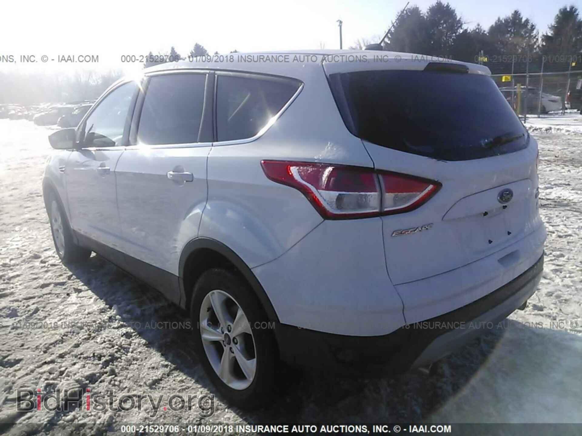 2013 Ford Escape - VIN: 1FMCU0GX7DUB65574 - Фото 3