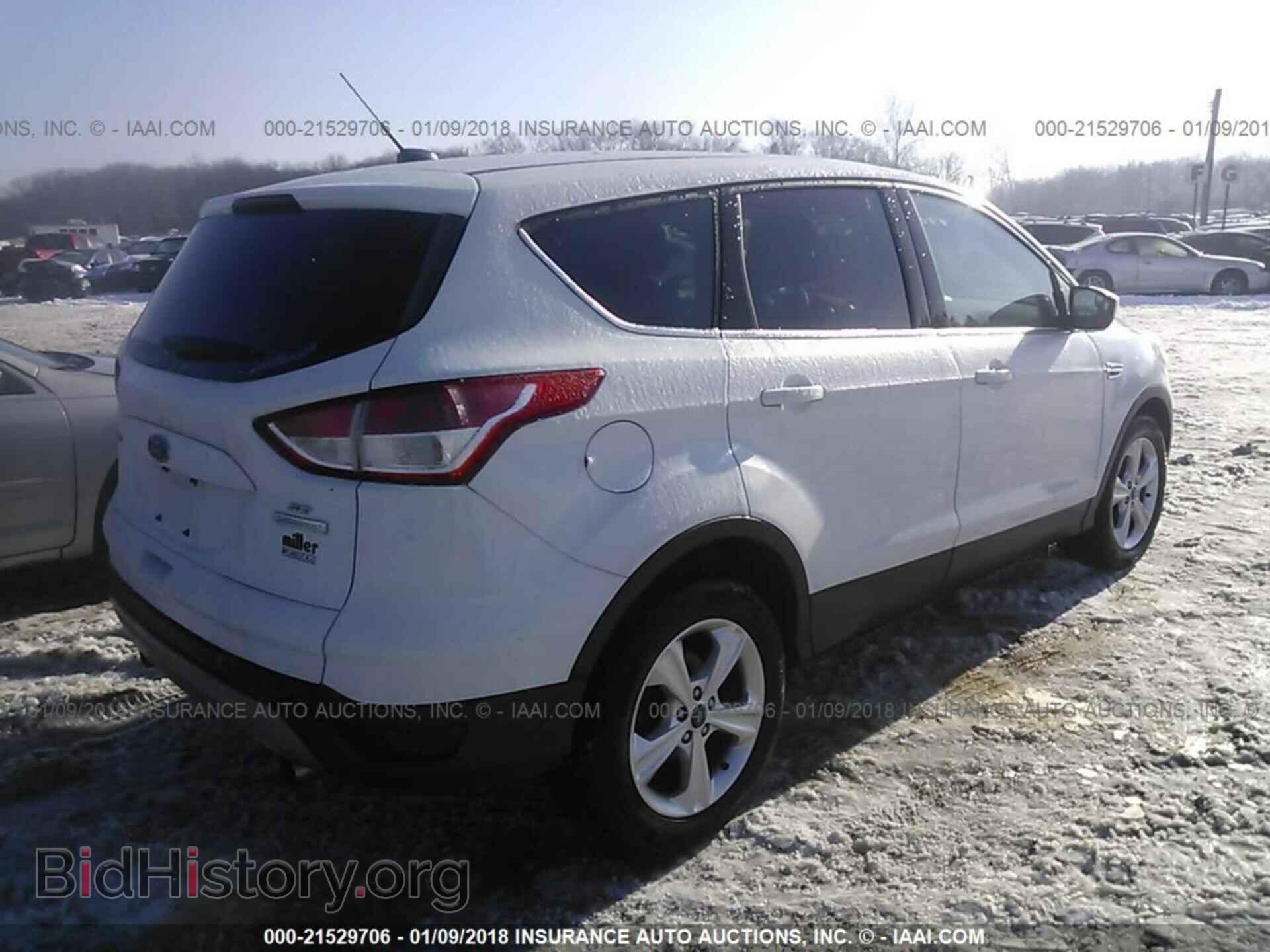 2013 Ford Escape - VIN: 1FMCU0GX7DUB65574 - Фото 4