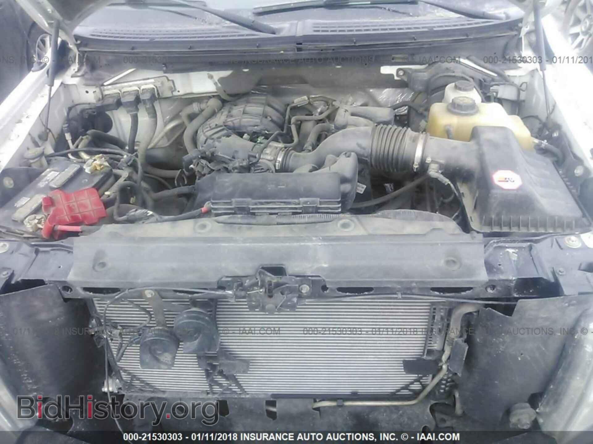2011 Ford F150 - VIN: 1FTMF1EM7BKD83265 - Фото 10