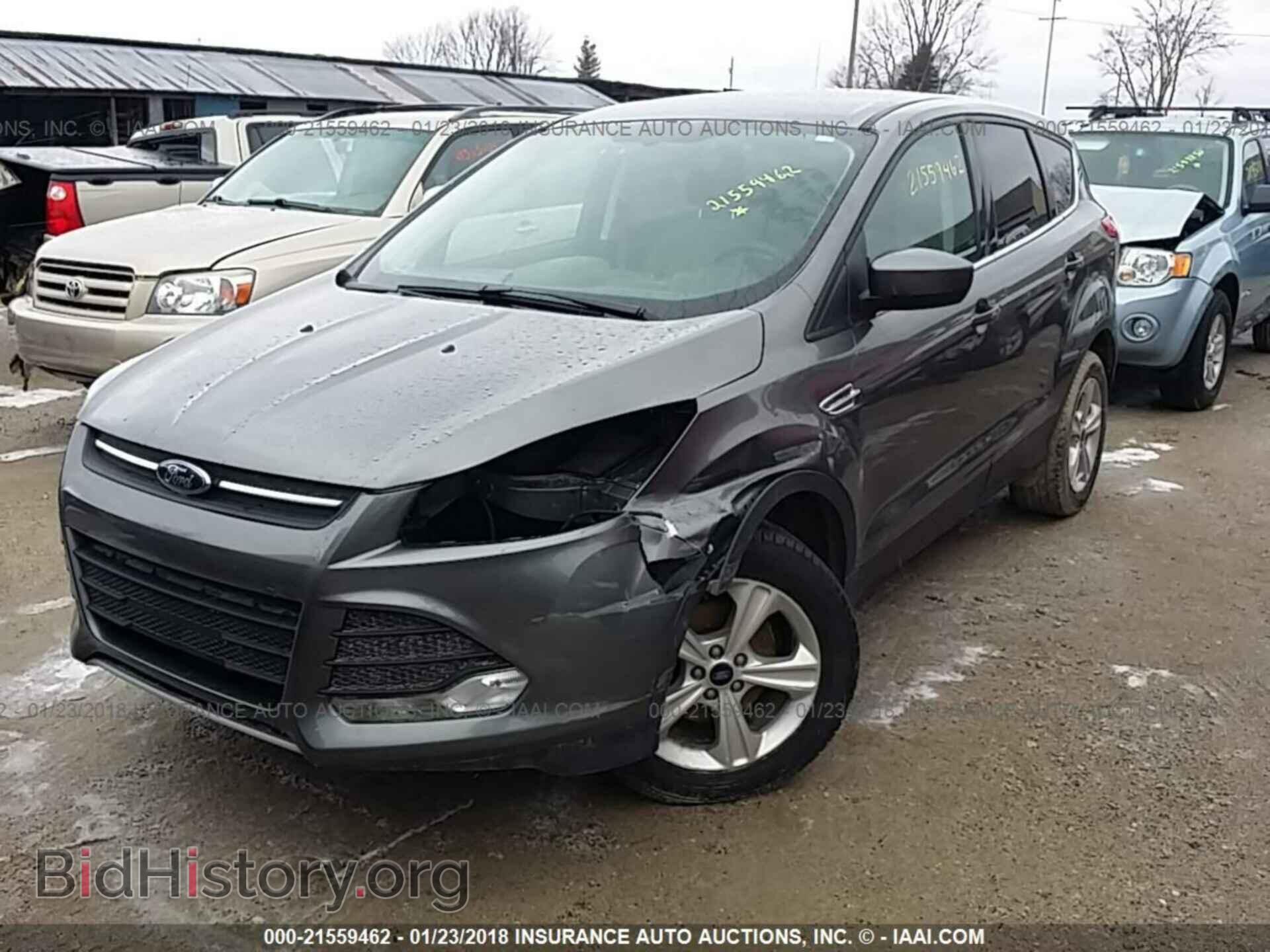 2014 Ford Escape - VIN: 1FMCU0GX1EUC46443 - Фото 2