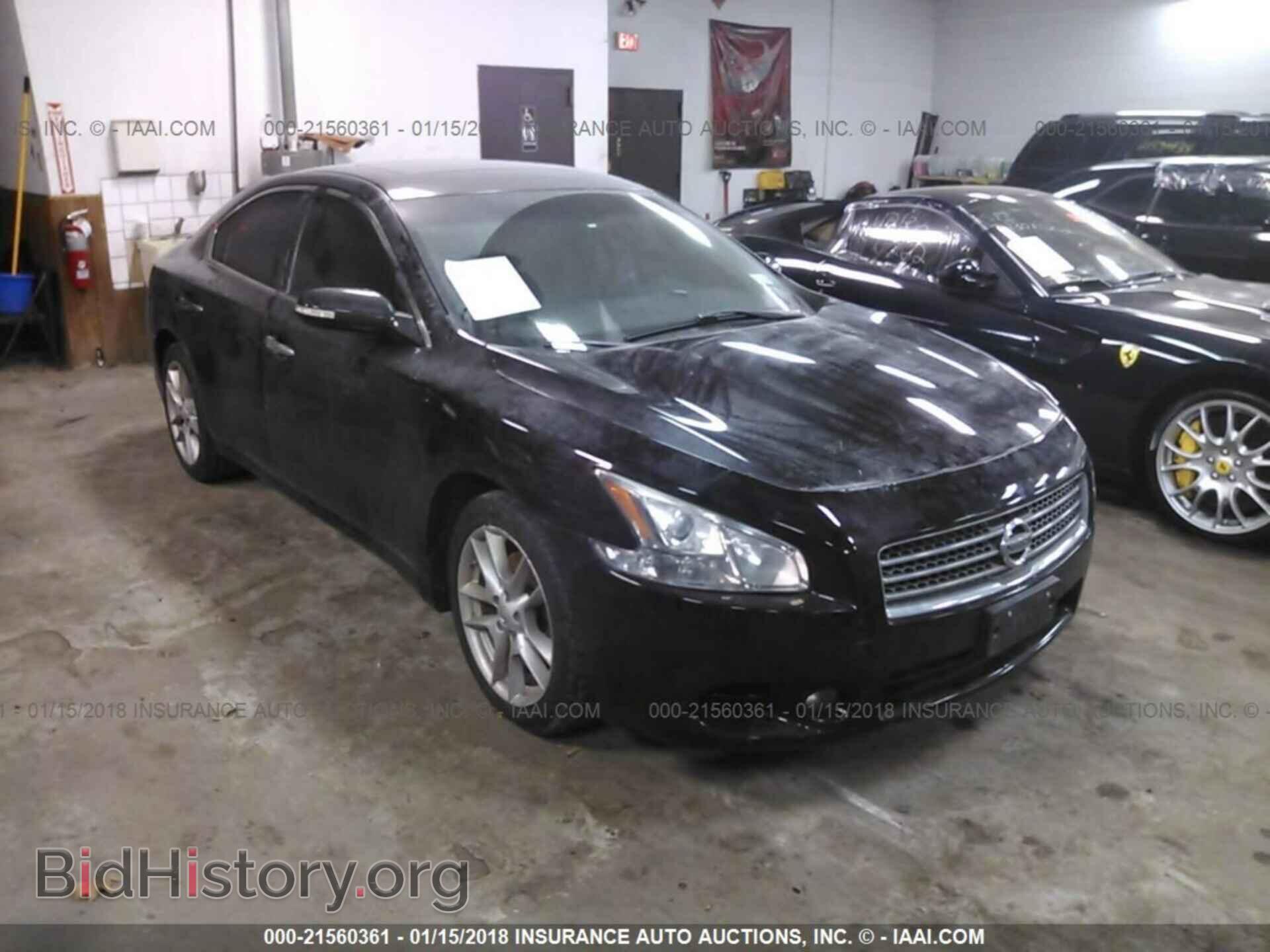 Фотография 1N4AA5AP1BC831881 - Nissan Maxima 2011