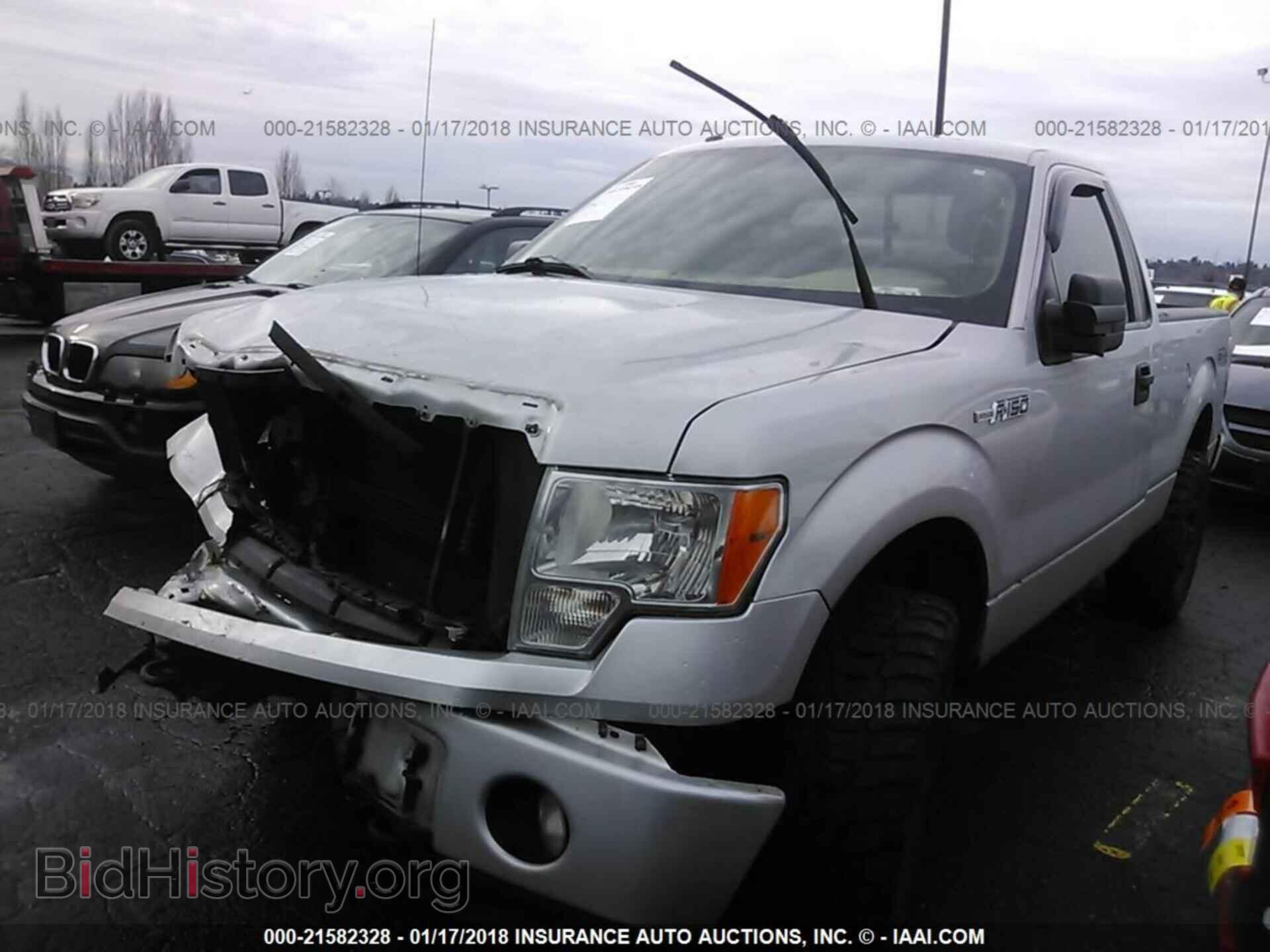 2013 Ford F150 - VIN: 1FTMF1EM6DKD75581 - Фото 2