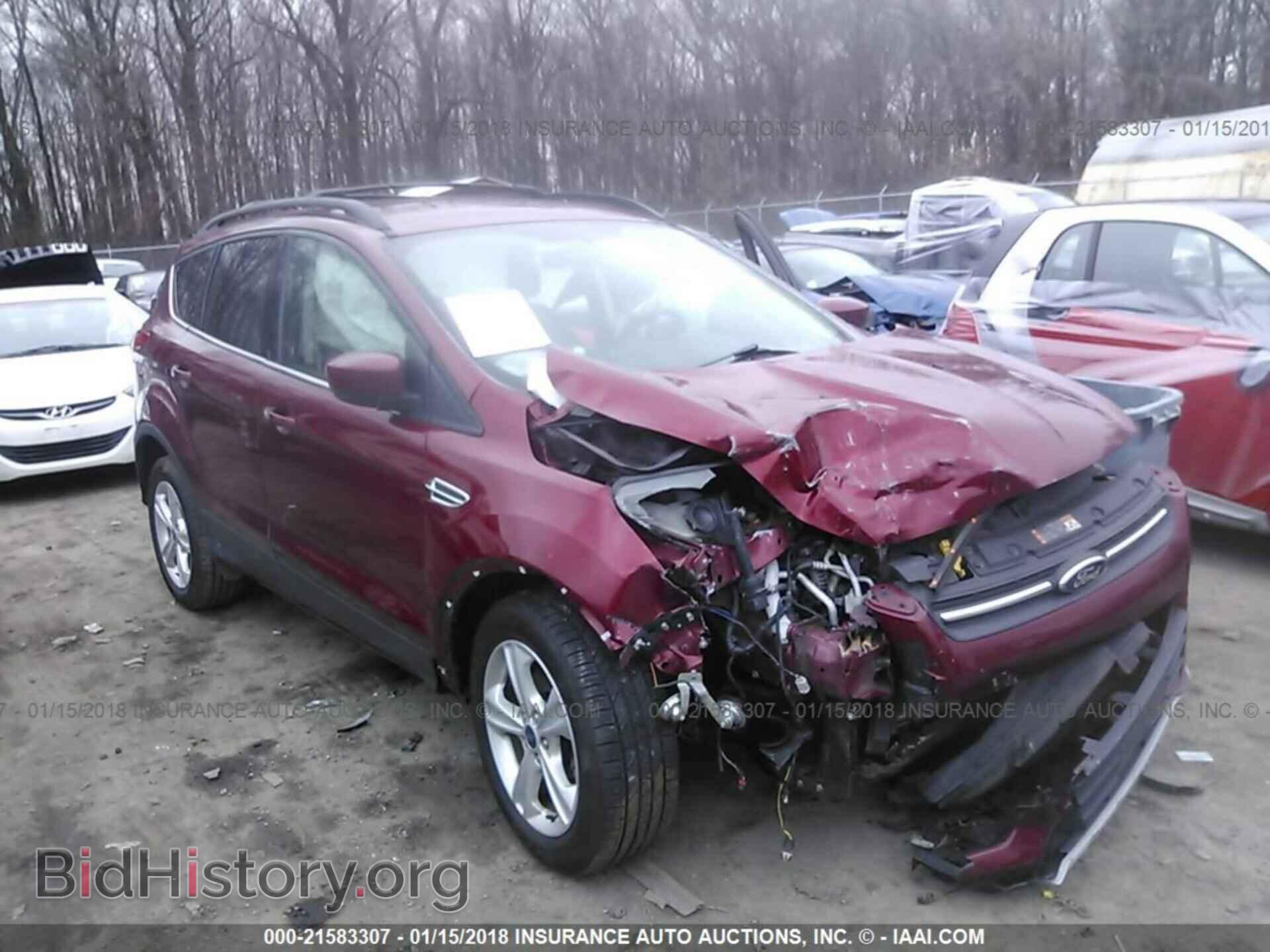 Photo 1FMCU0GX4DUC20563 - Ford Escape 2013