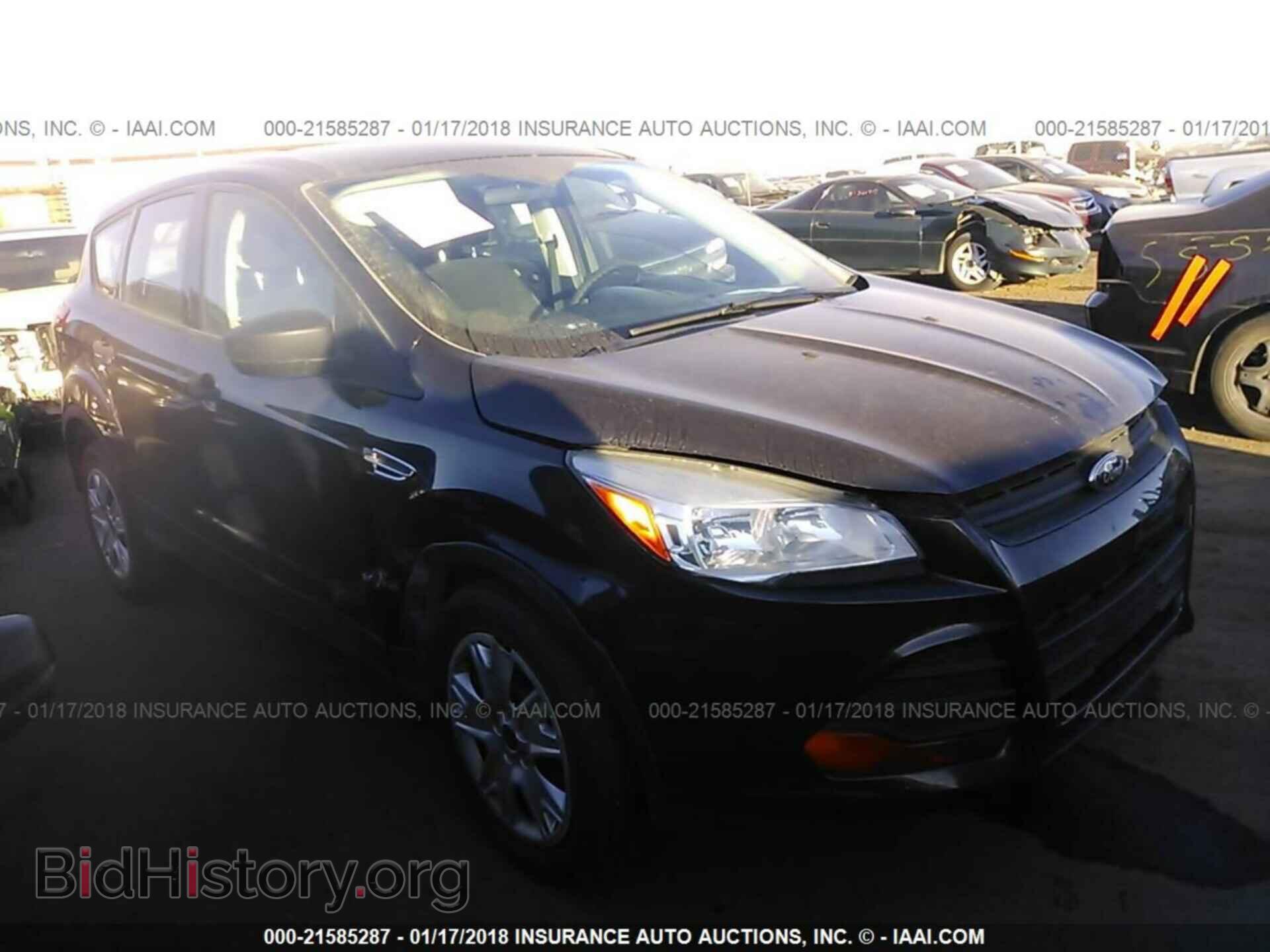 Фотография 1FMCU0F74DUA37794 - Ford Escape 2013