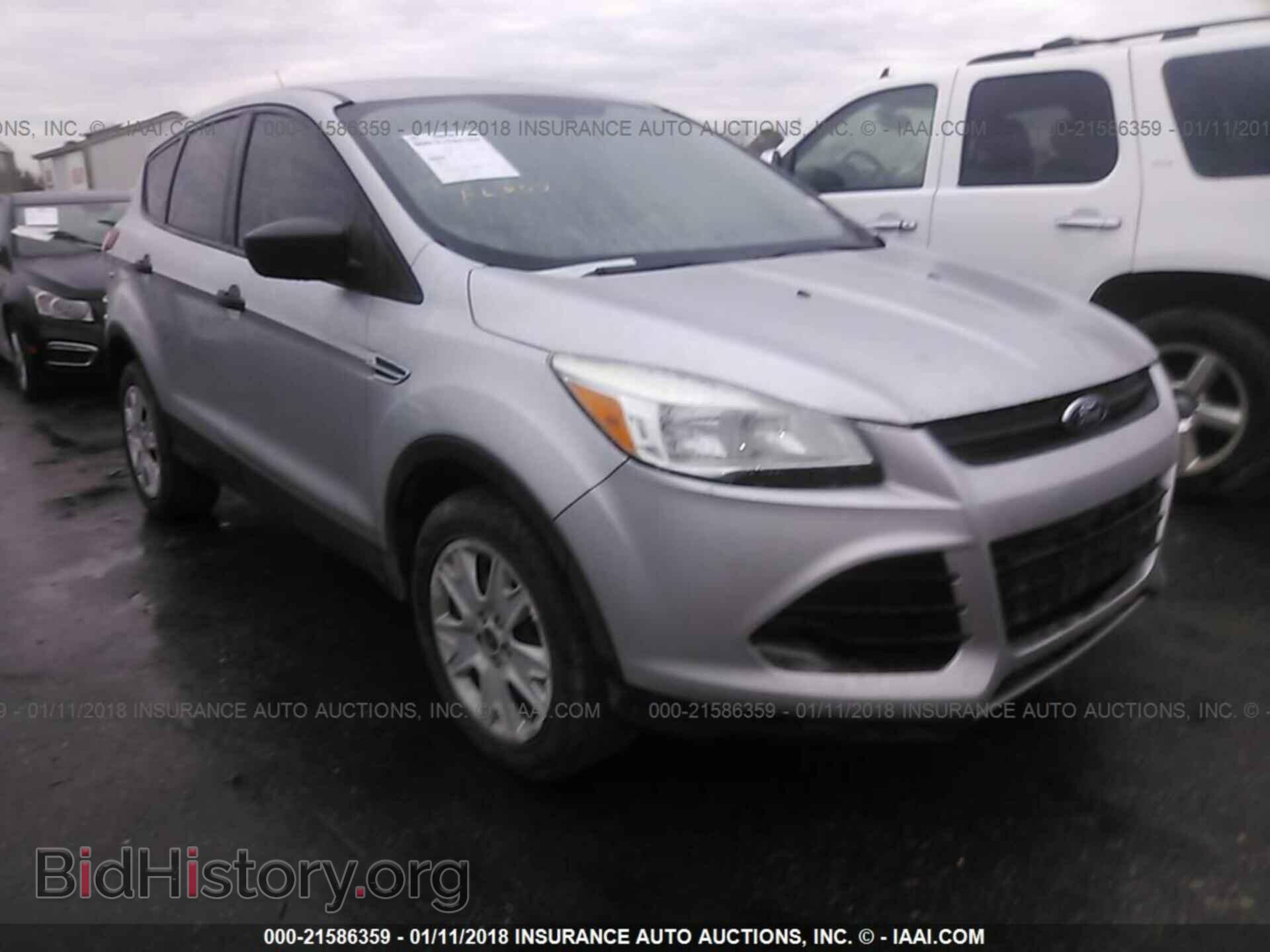 Фотография 1FMCU0F77DUB00323 - Ford Escape 2013