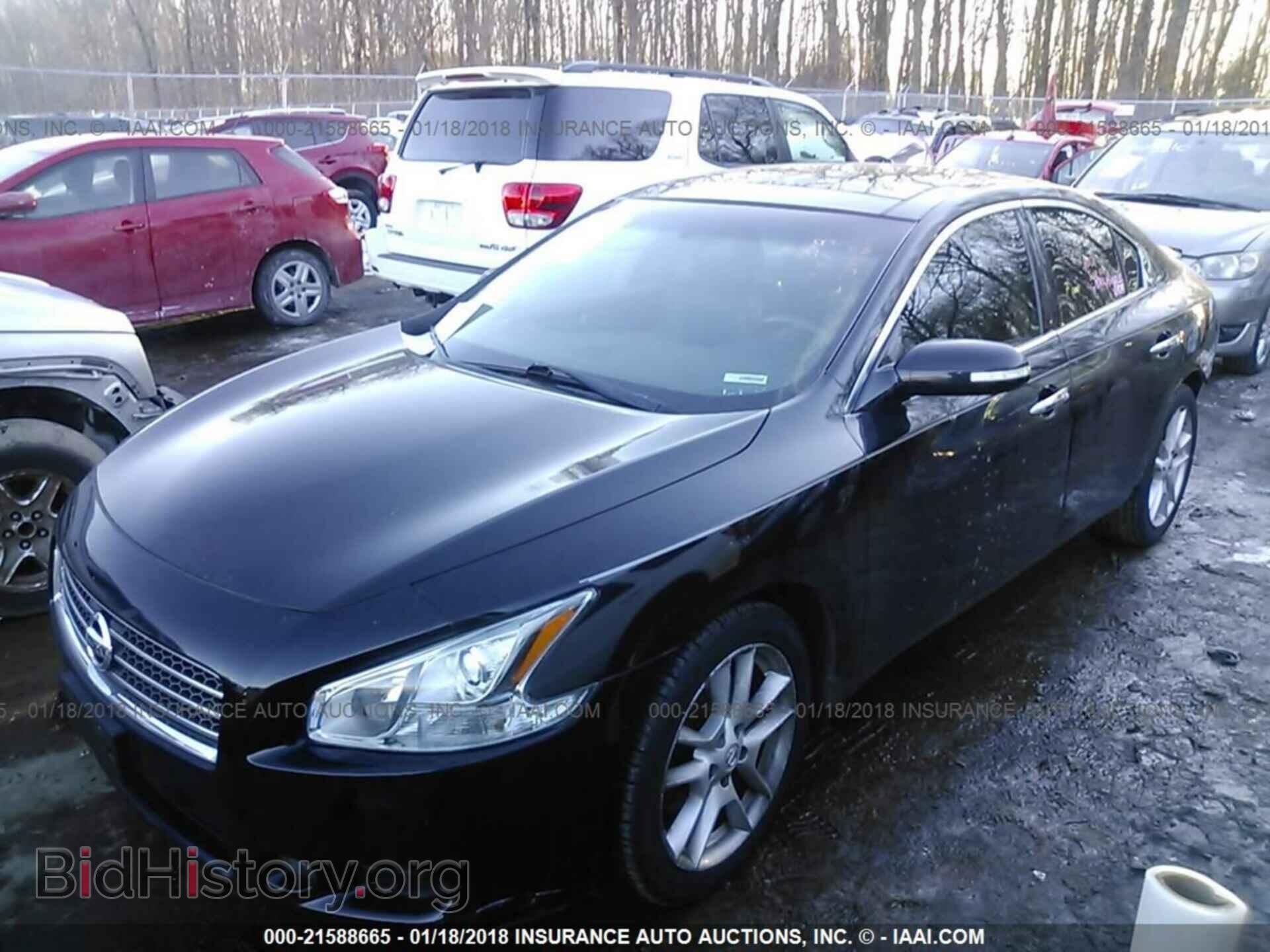 2011 Nissan Maxima - VIN: 1N4AA5AP1BC842797 - Фото 2