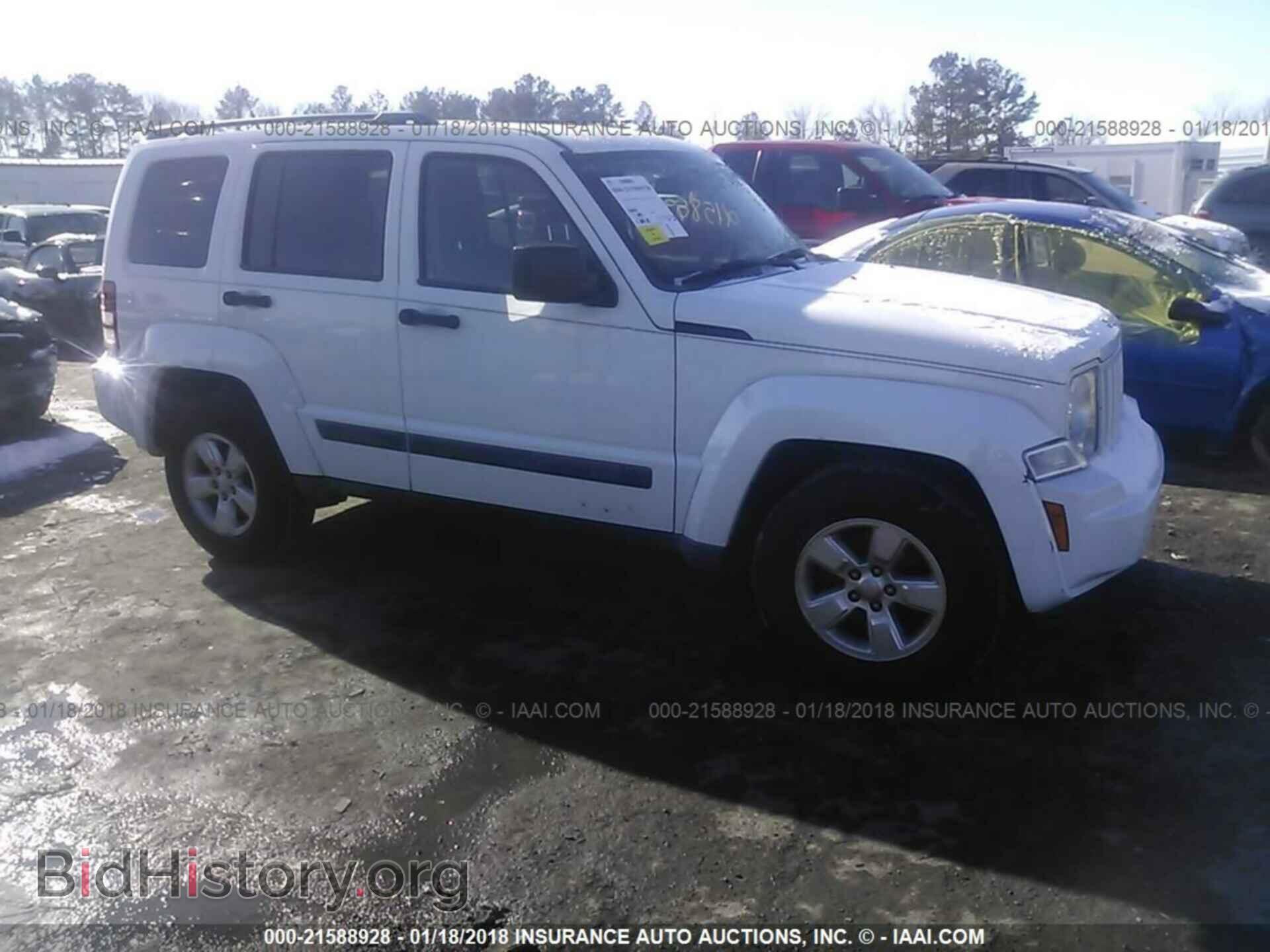 Фотография 1J4PN2GK3BW523638 - Jeep Liberty 2011