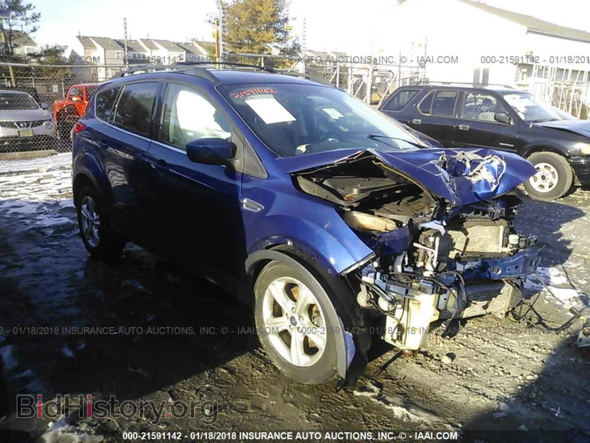 Фотография 1FMCU0G91DUA95247 - Ford Escape 2013
