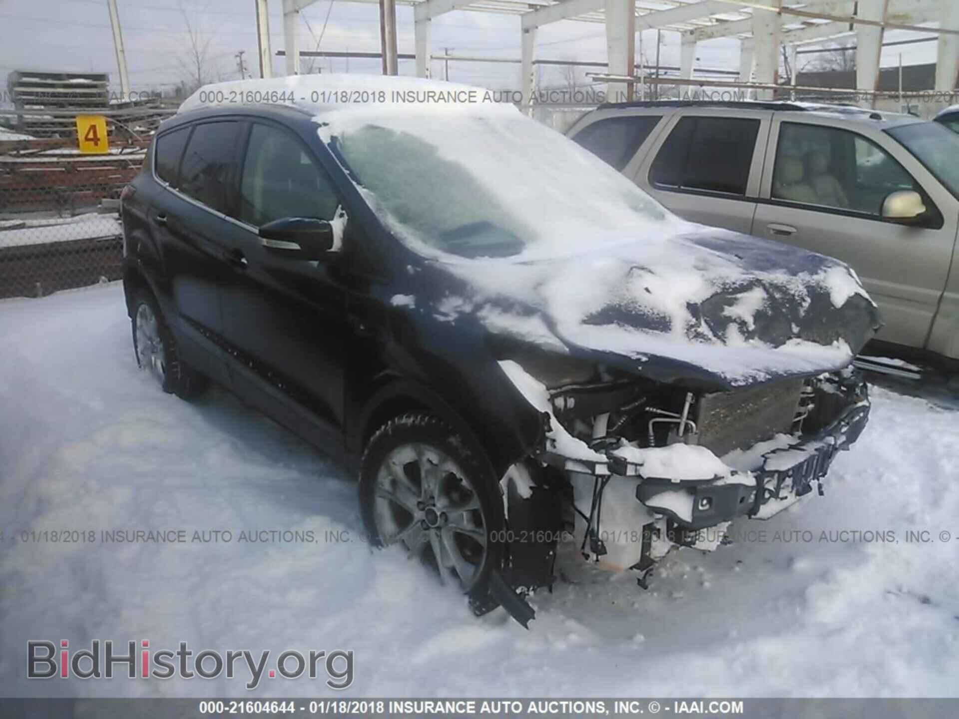 Photo 1FMCU0H99DUD25325 - Ford Escape 2013