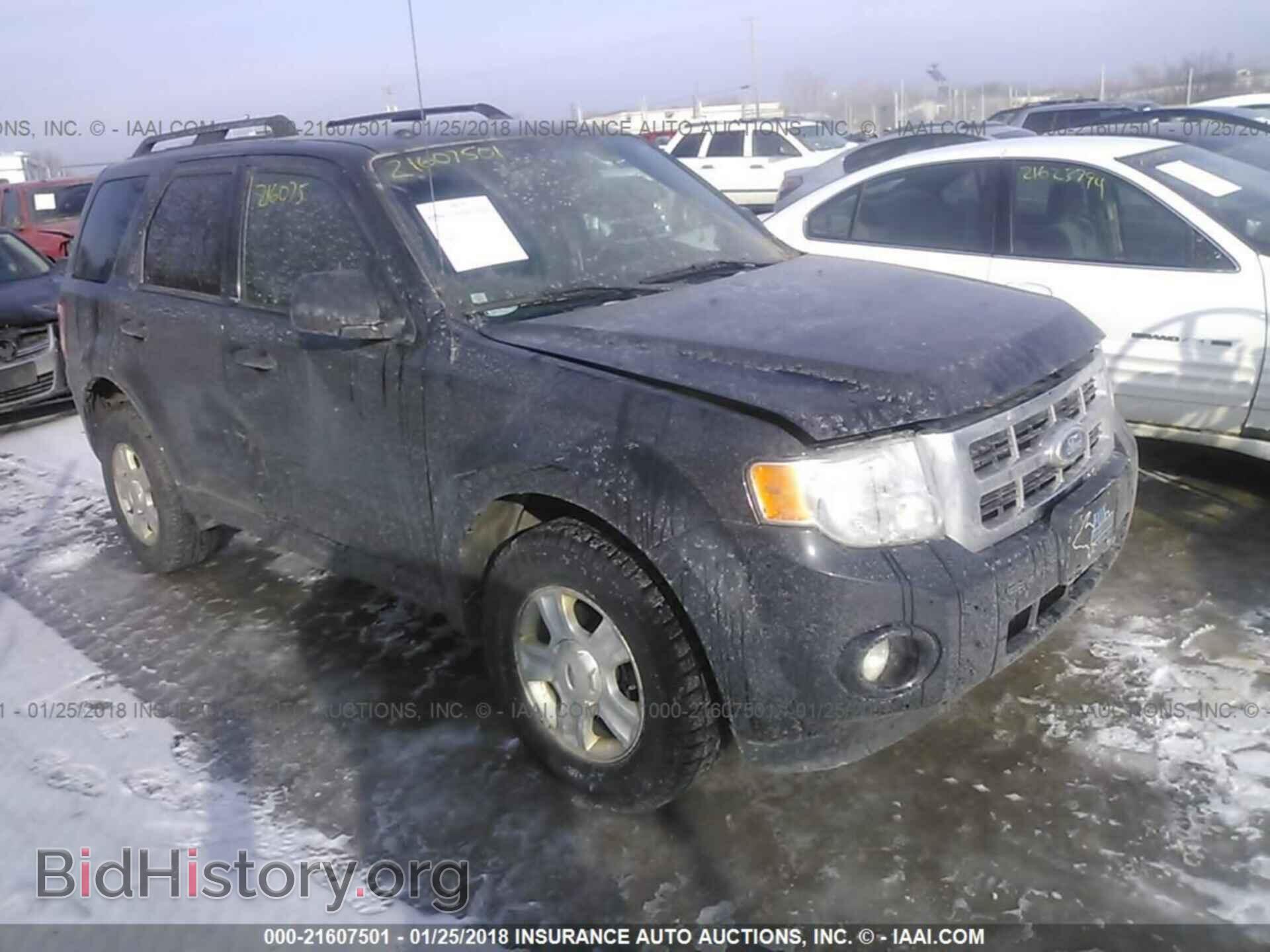 Фотография 1FMCU9DG4BKC64435 - Ford Escape 2011
