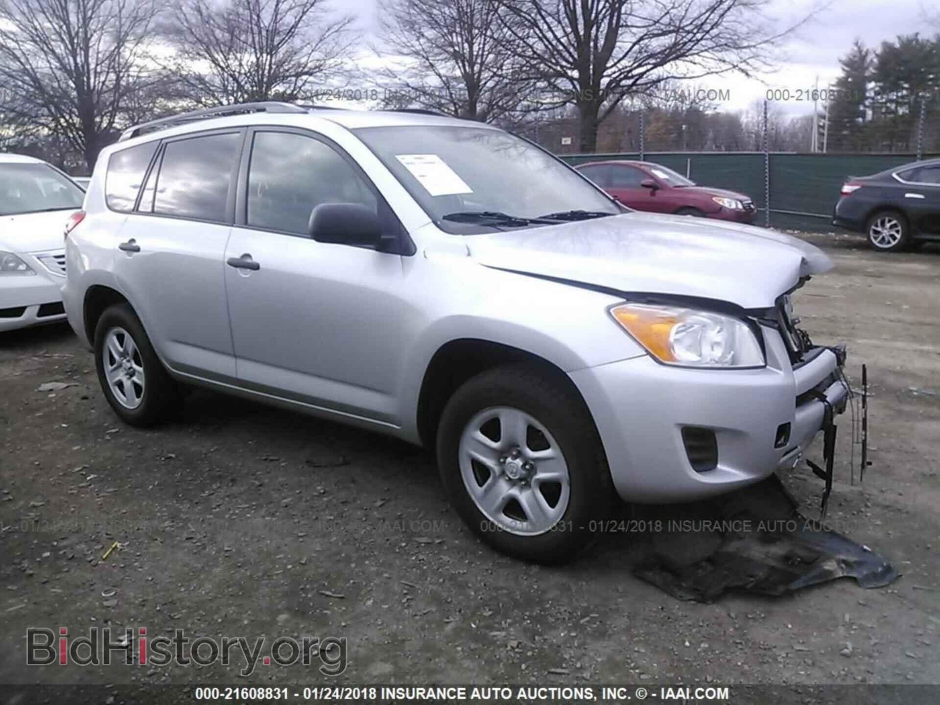 Фотография 2T3BF4DV2CW229879 - Toyota Rav4 2012
