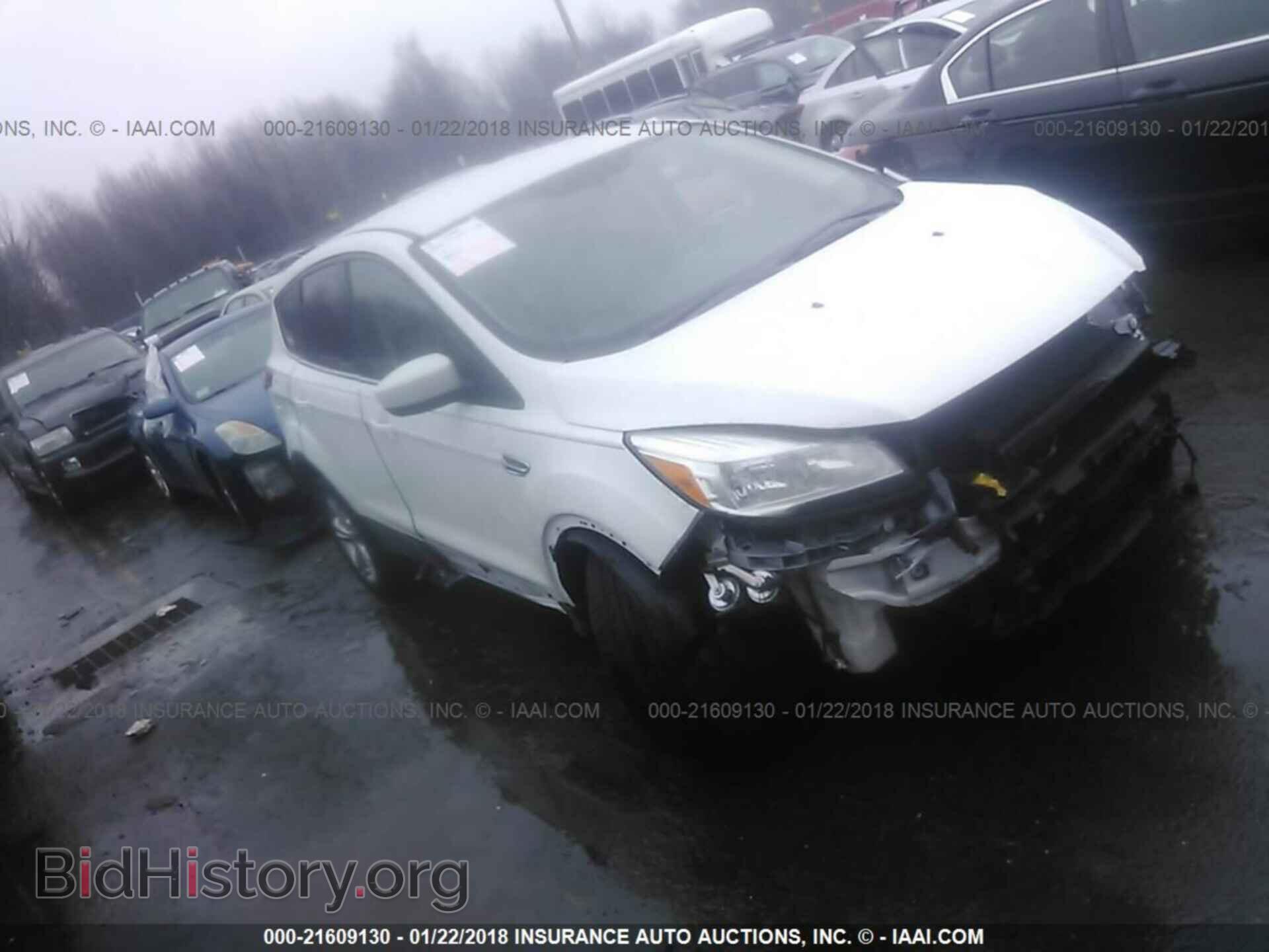 Photo 1FMCU9GX6DUD71991 - Ford Escape 2013