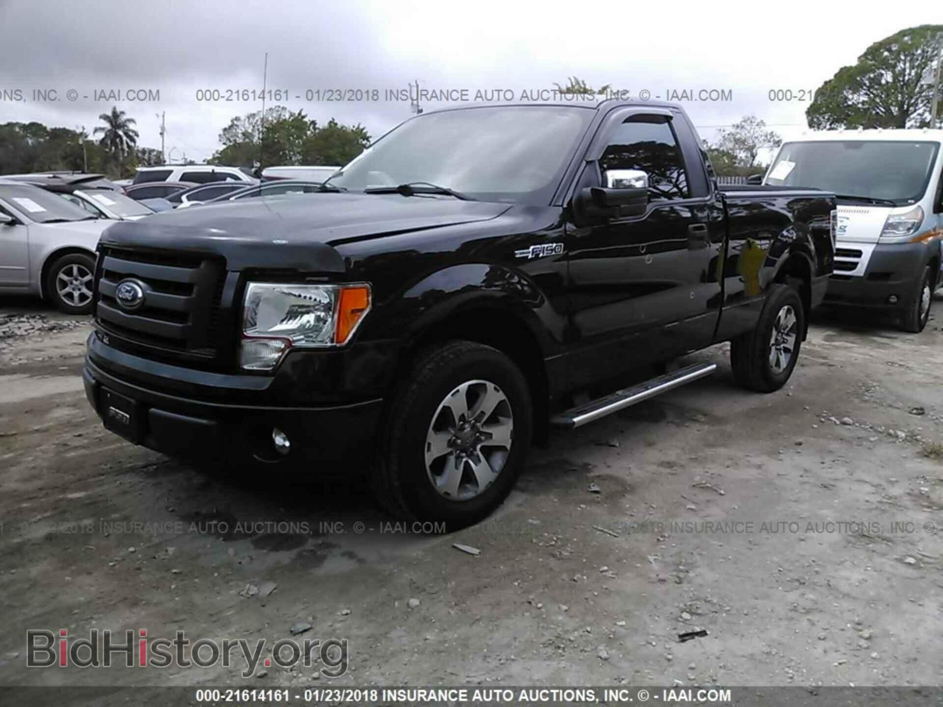 2011 Ford F150 - VIN: 1FTMF1CM1BFA36431 - Фото 2