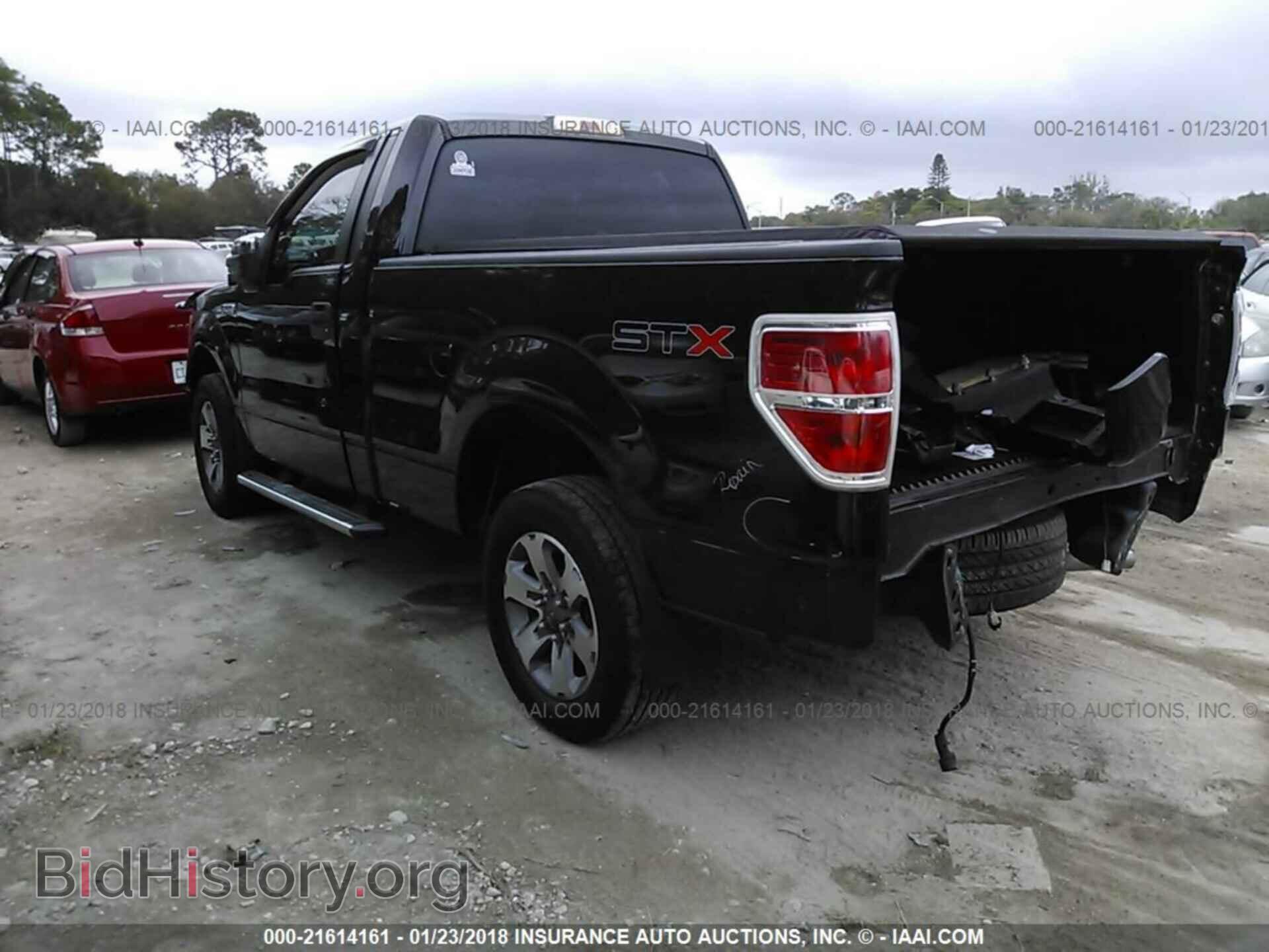 2011 Ford F150 - VIN: 1FTMF1CM1BFA36431 - Фото 3