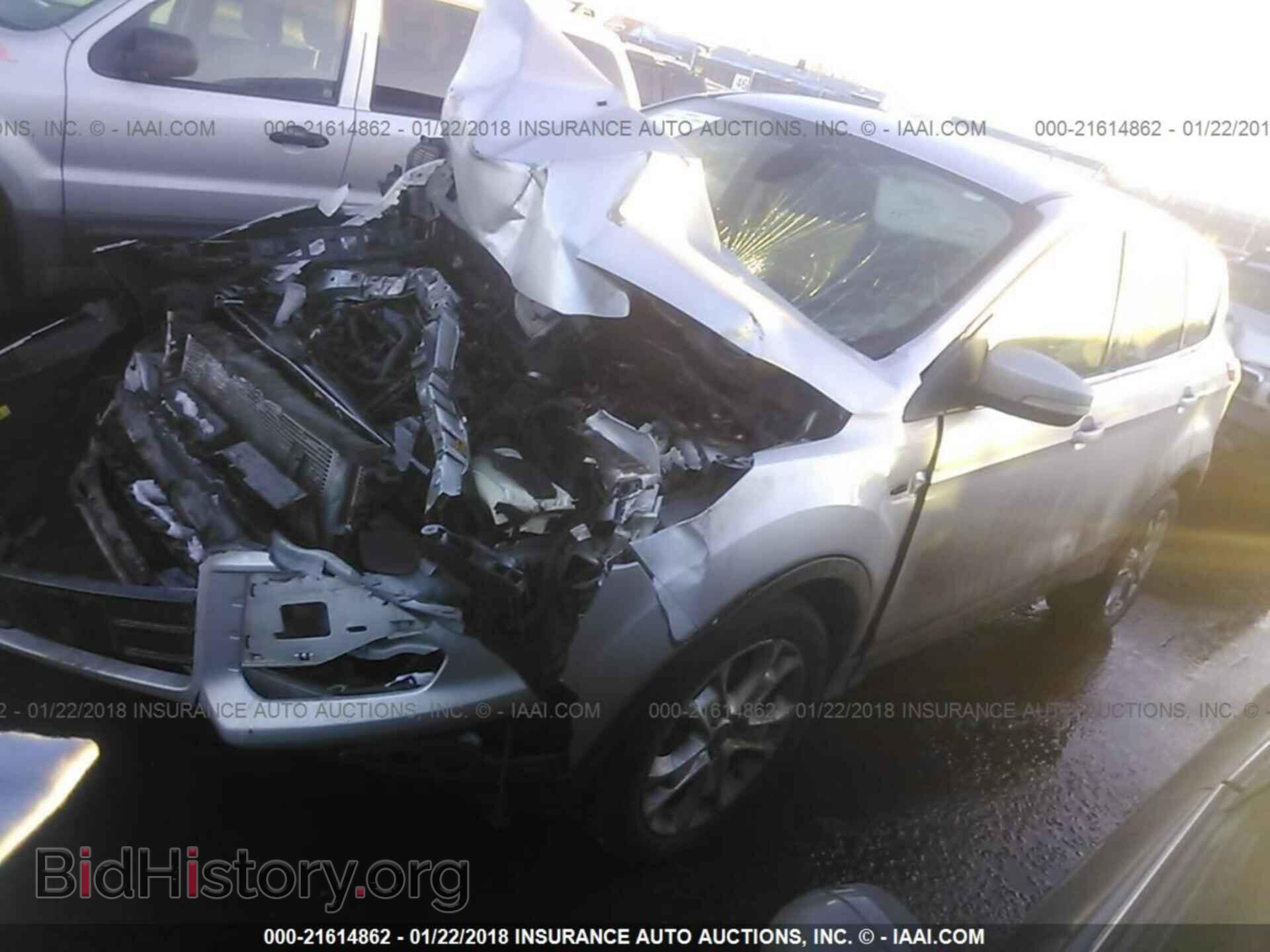 2013 Ford Escape - VIN: 1FMCU9HX9DUB92391 - Фото 2
