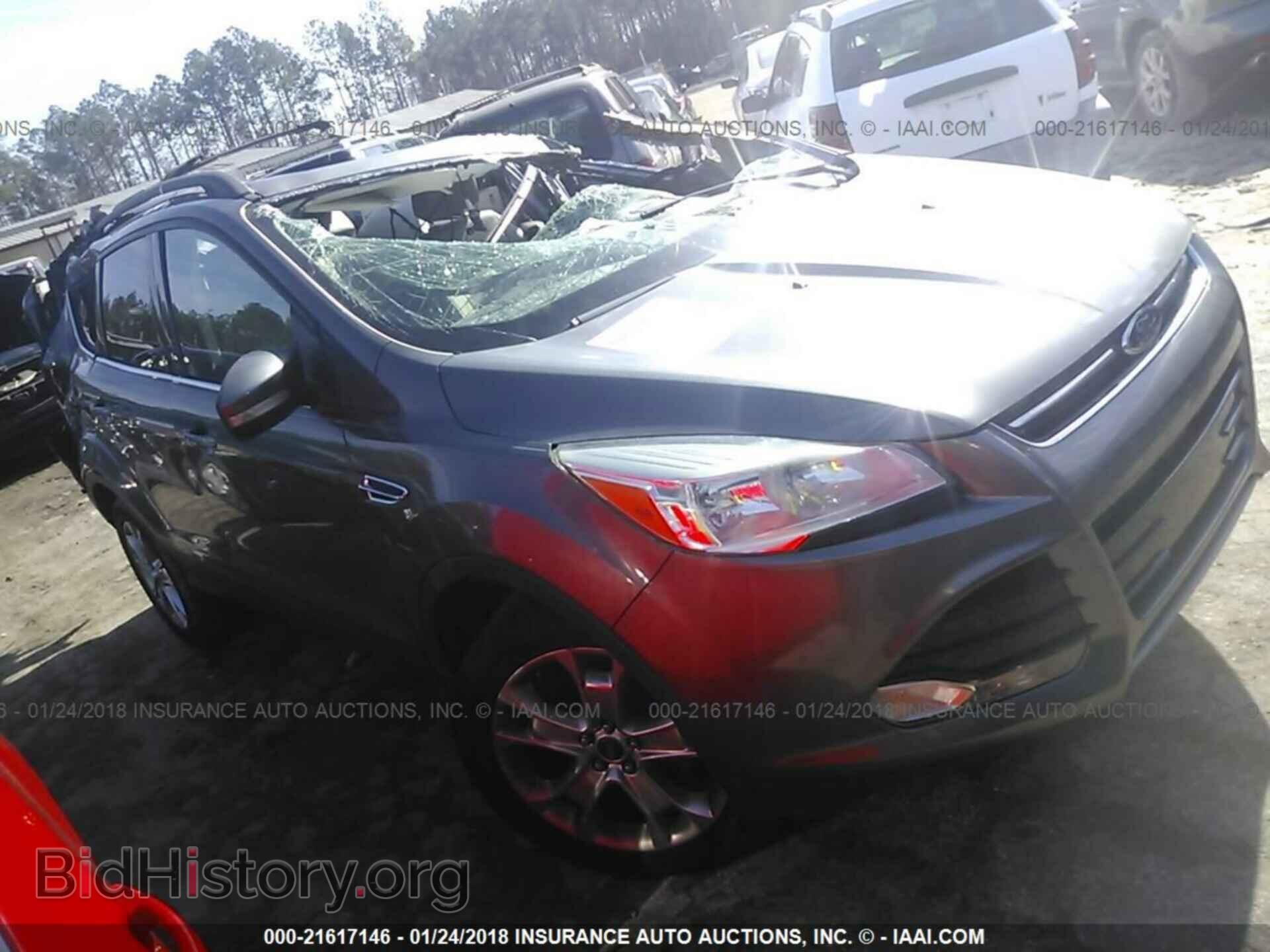 Photo 1FMCU0HX4DUC09092 - Ford Escape 2013