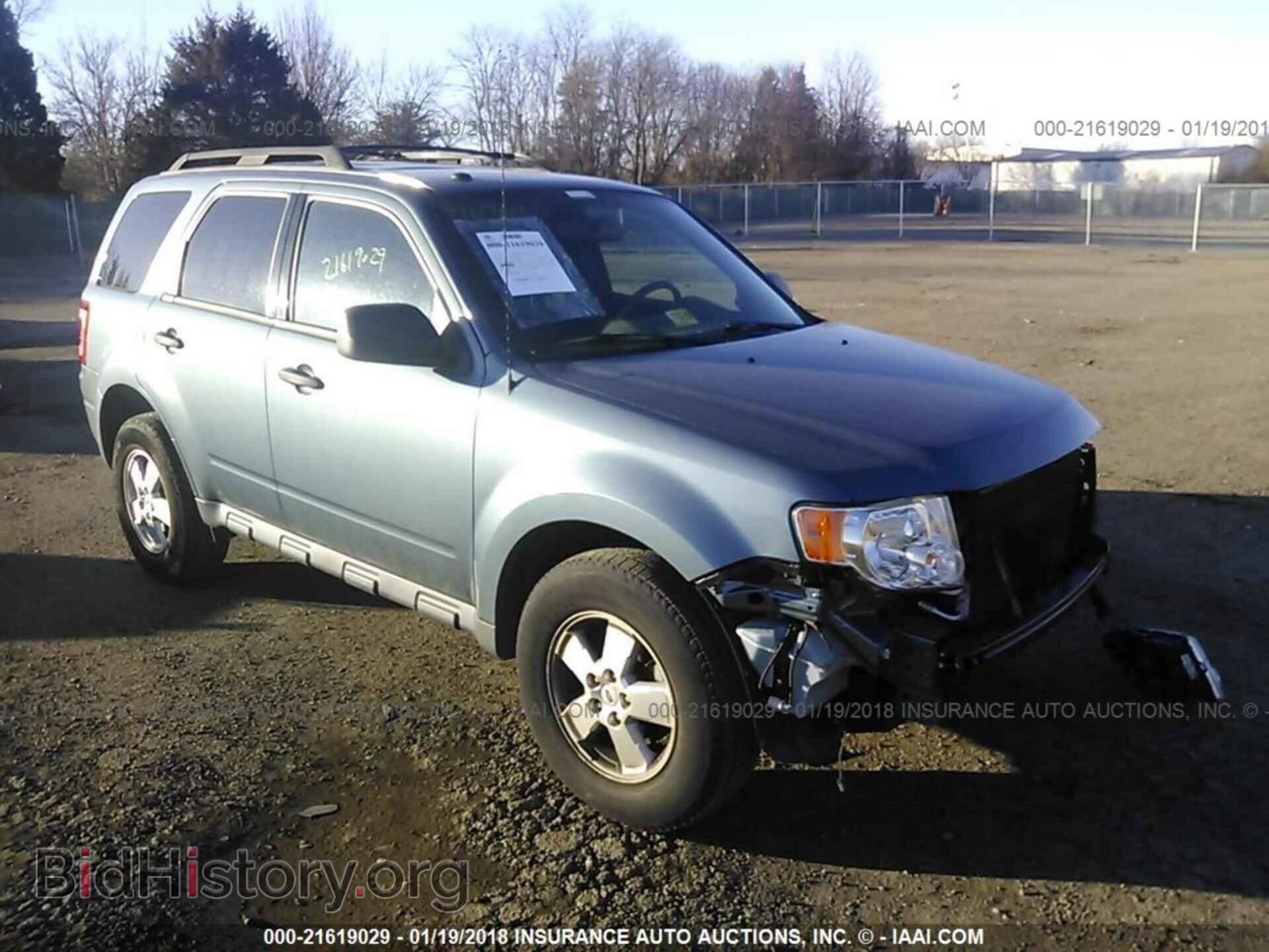 Фотография 1FMCU0DG3BKC60310 - Ford Escape 2011