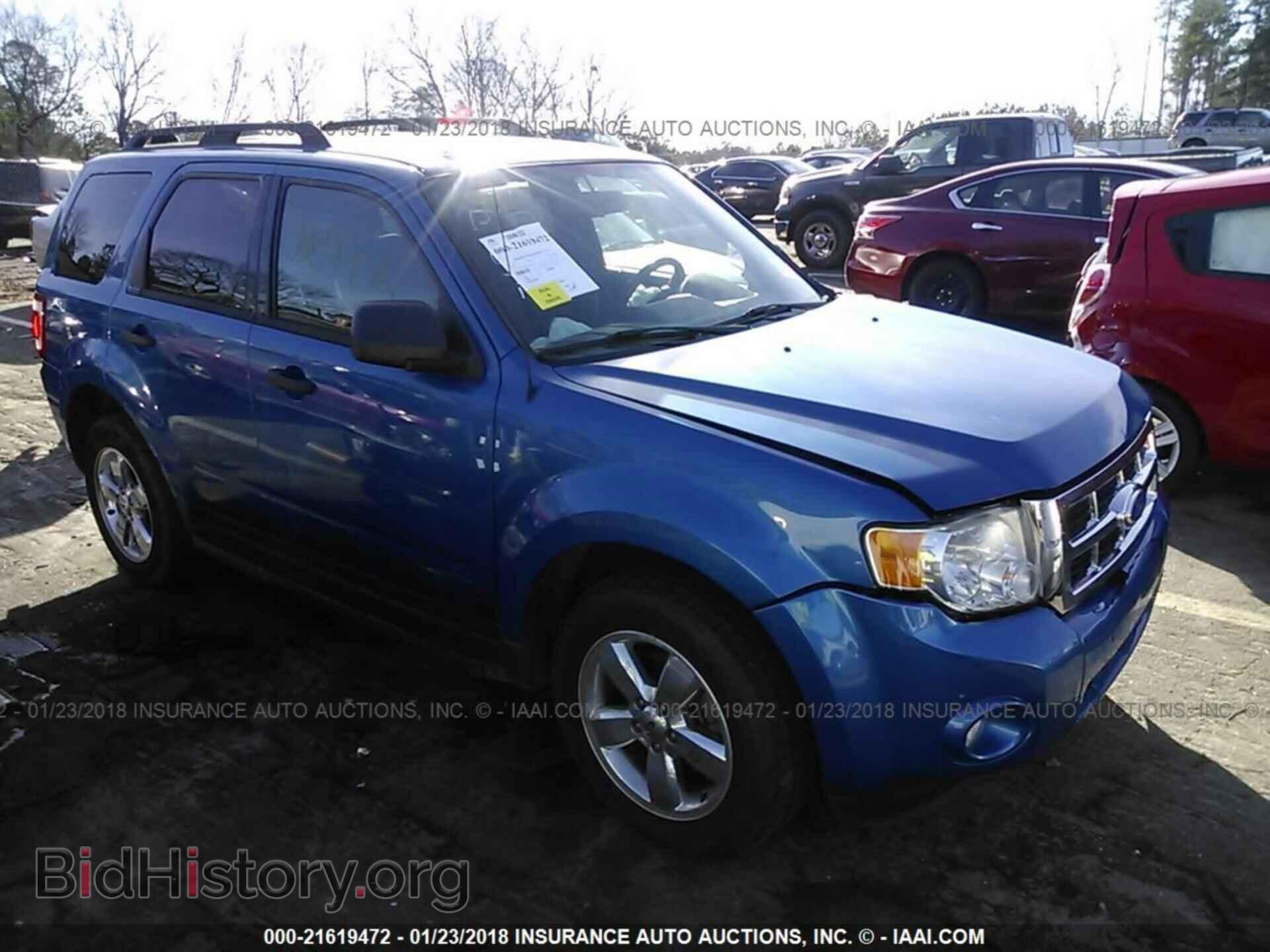 Фотография 1FMCU0DG9BKB95009 - Ford Escape 2011