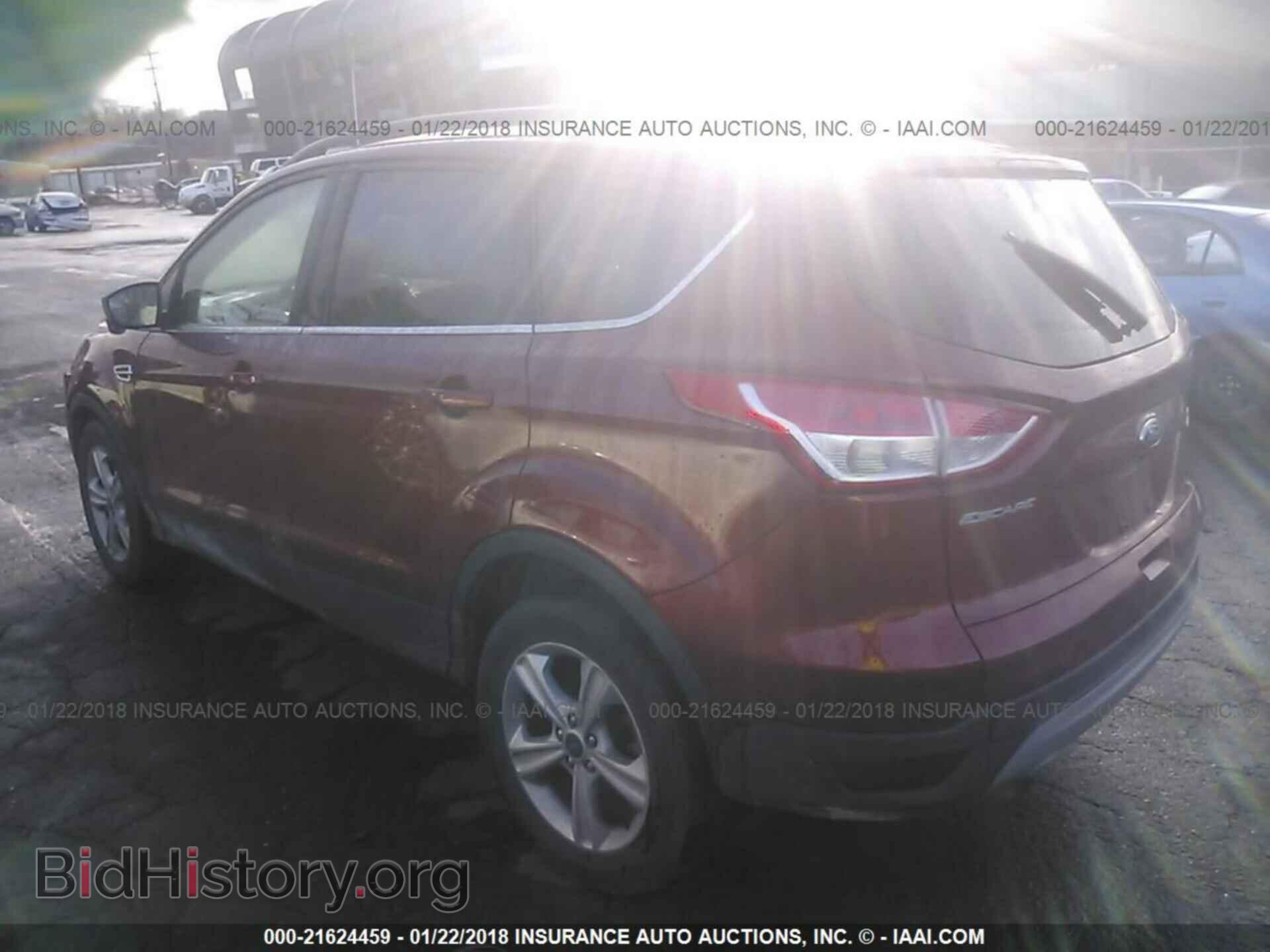 2014 Ford Escape - VIN: 1FMCU9G92EUB49435 - Фото 3
