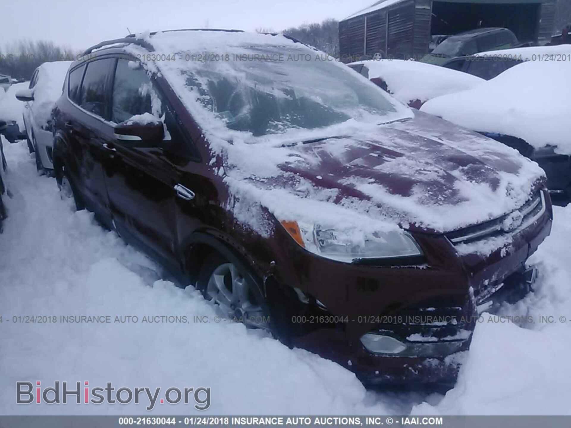 Photo 1FMCU0HX1DUC69654 - Ford Escape 2013