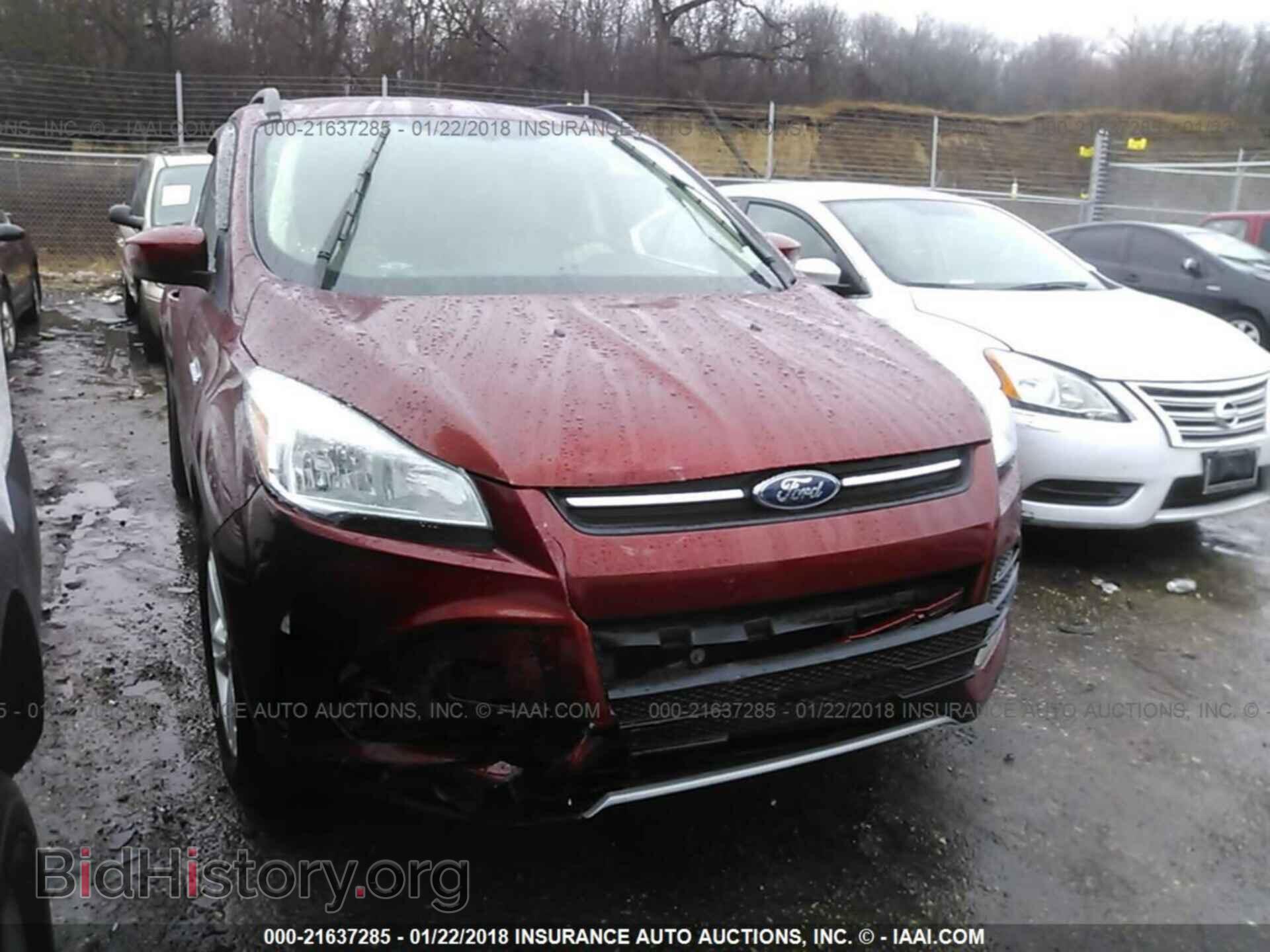 Фотография 1FMCU0GX7EUC35320 - Ford Escape 2014