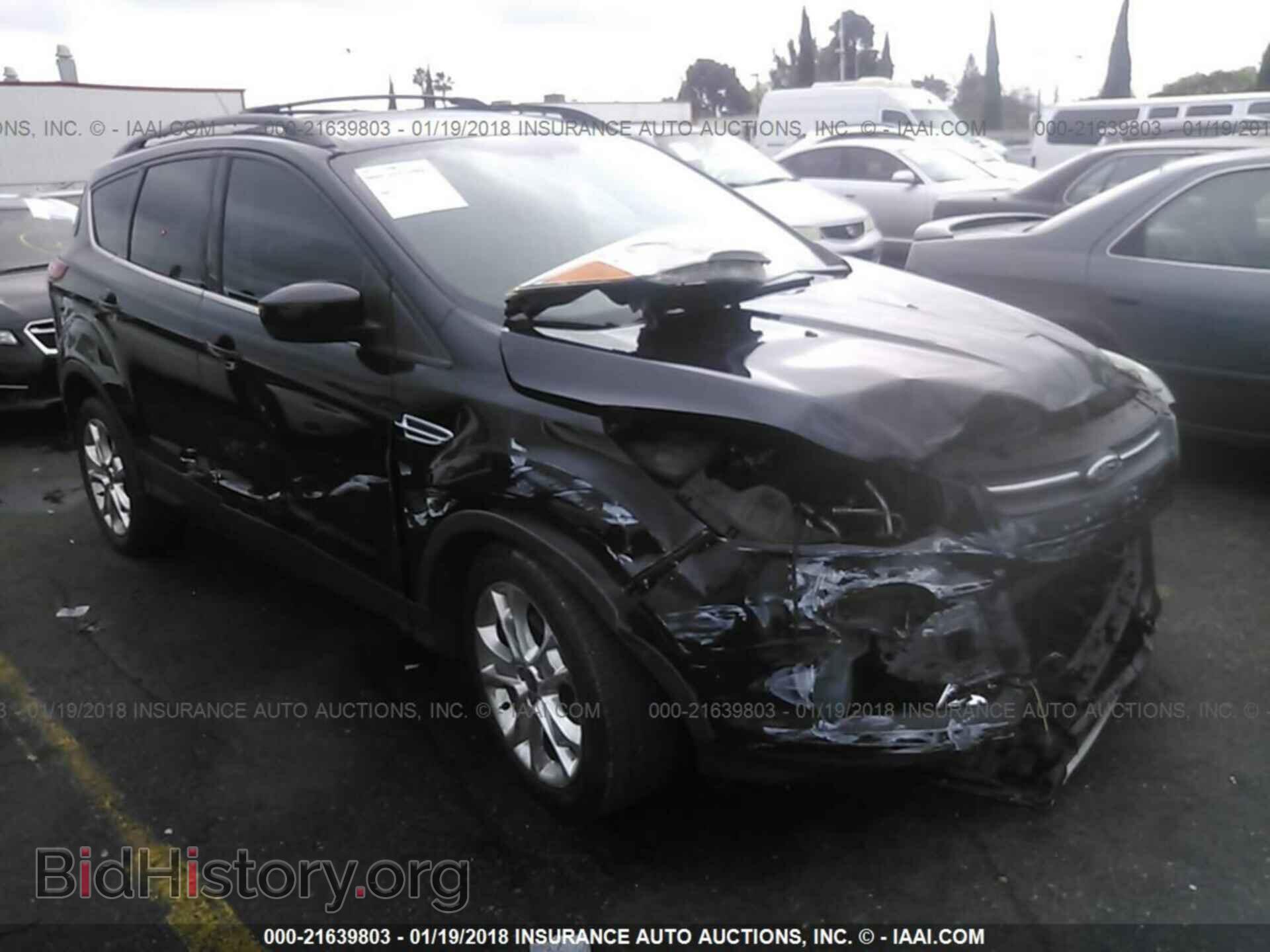 Фотография 1FMCU0GX5DUB70806 - Ford Escape 2013