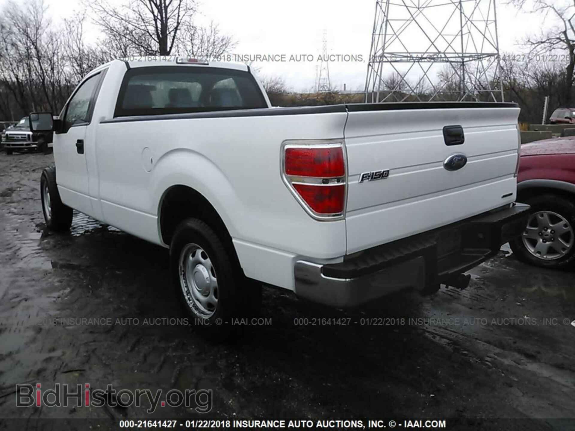 2014 Ford F150 - VIN: 1FTMF1CM1EKF18022 - Фото 3