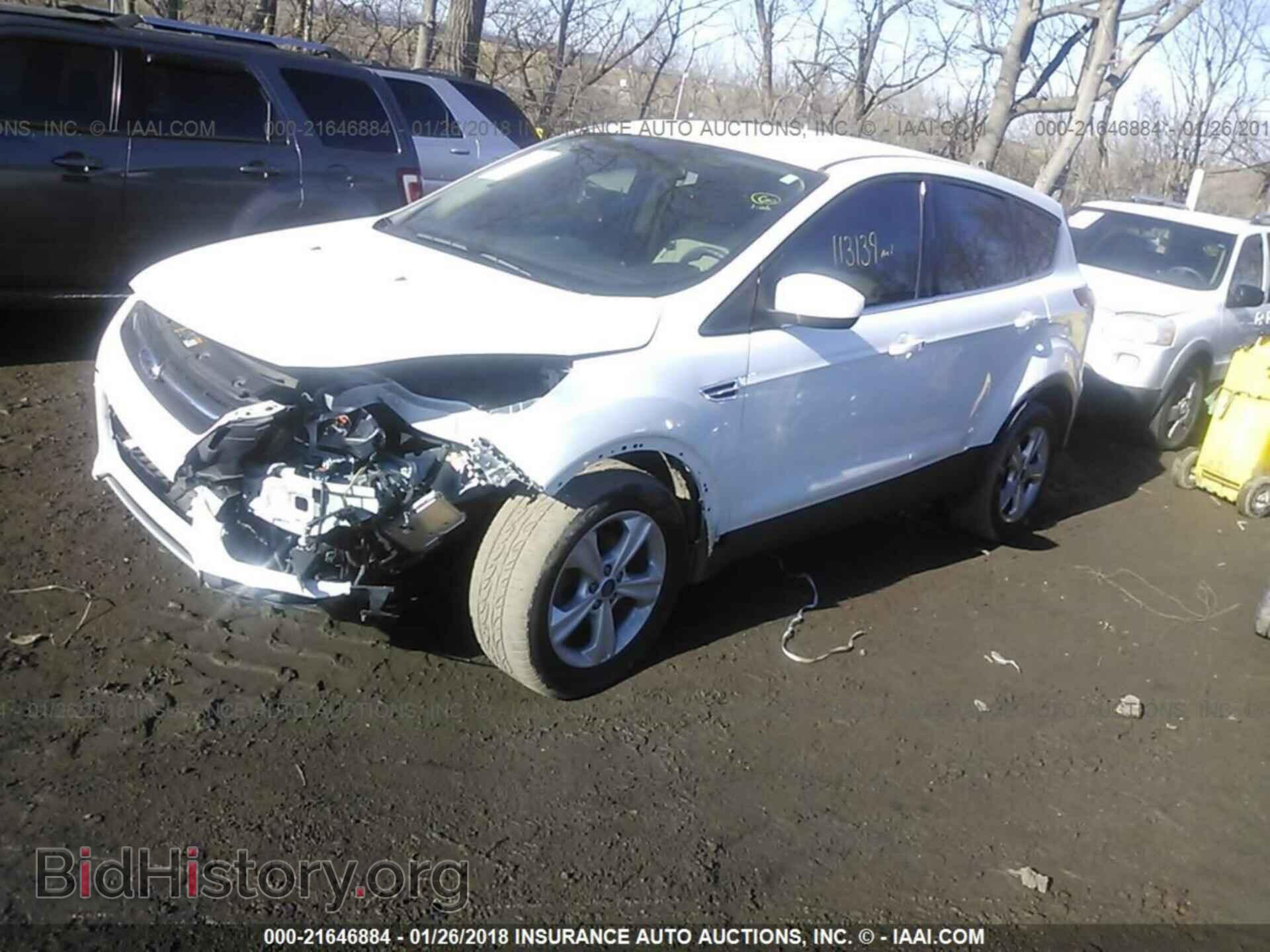 2013 Ford Escape - VIN: 1FMCU0GX4DUA74200 - Photo 2