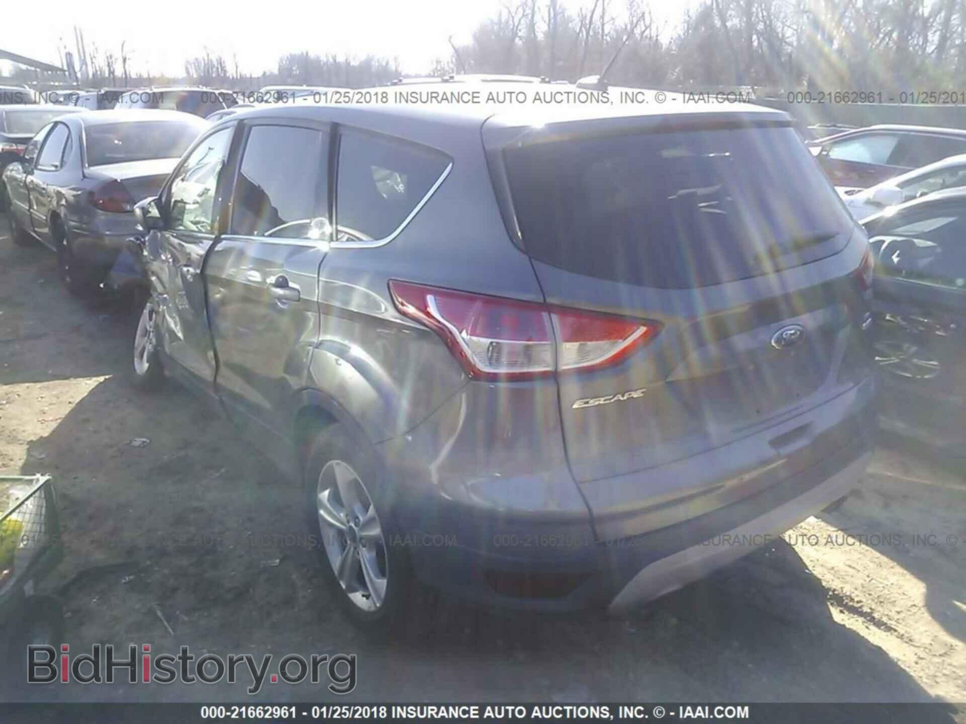 2013 Ford Escape - VIN: 1FMCU9GX6DUD94302 - Photo 3